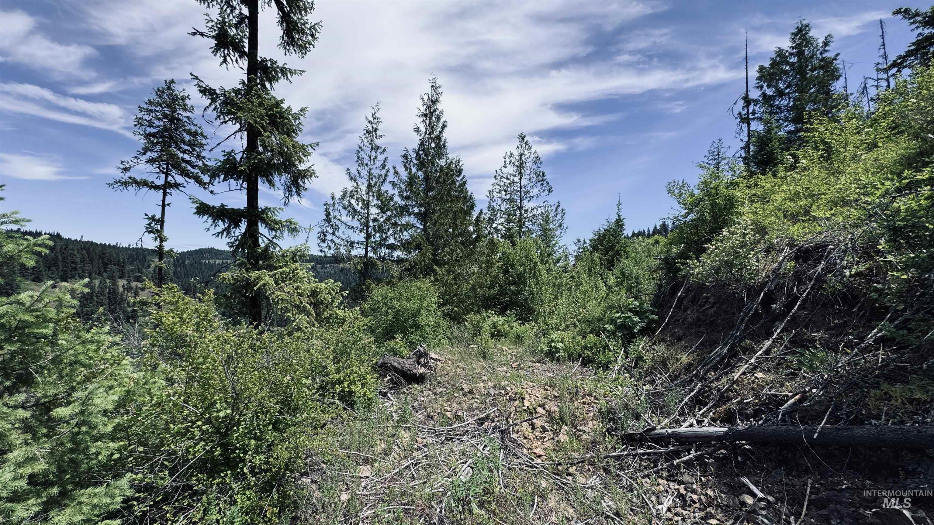 TBD Glenwood, Kamiah, Idaho 83536, Land For Sale, Price $299,999,MLS 98989435