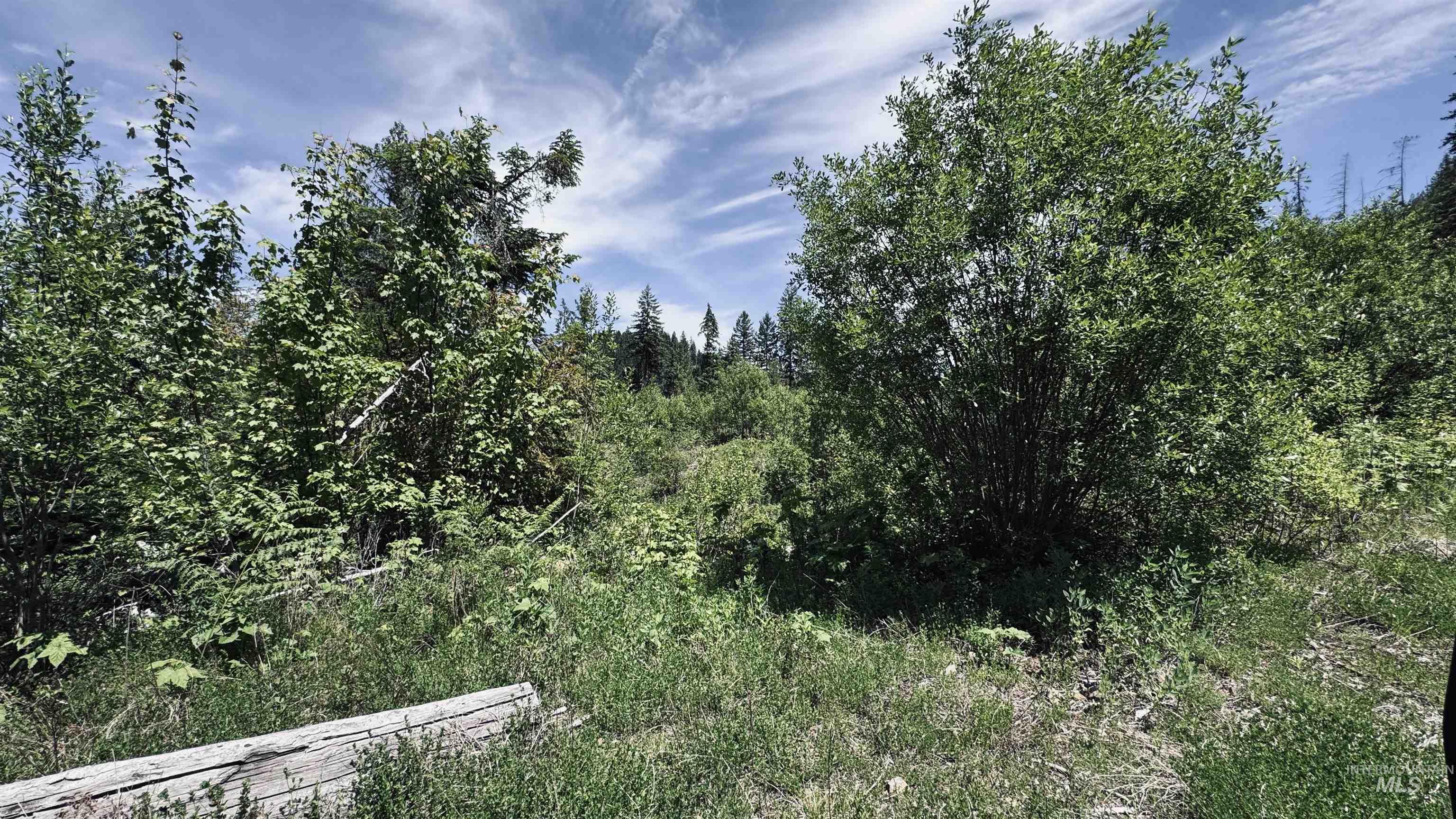 TBD Glenwood, Kamiah, Idaho 83536, Land For Sale, Price $299,999,MLS 98989435