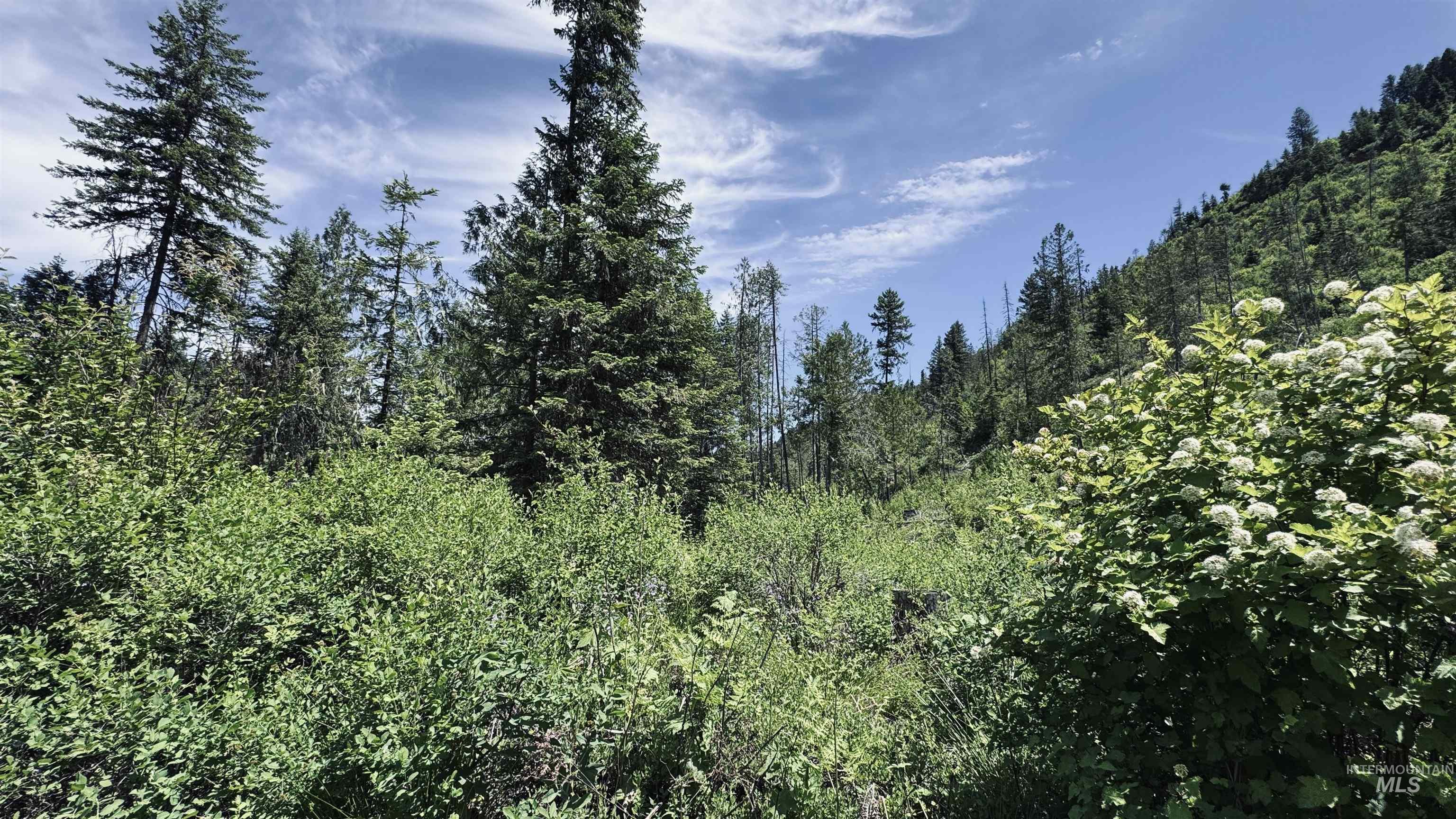 TBD Glenwood, Kamiah, Idaho 83536, Land For Sale, Price $299,999,MLS 98989435
