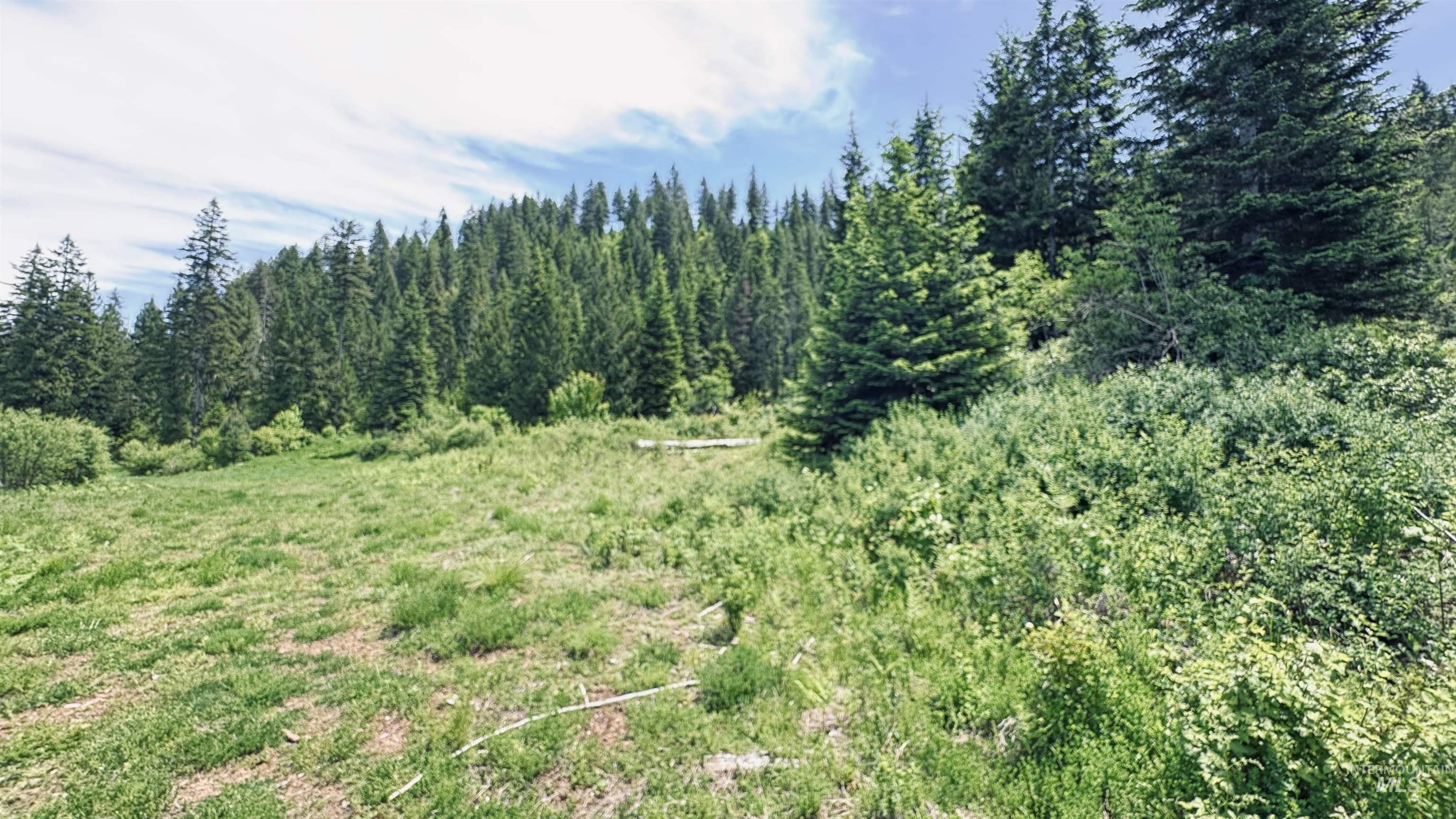 TBD Glenwood, Kamiah, Idaho 83536, Land For Sale, Price $299,999,MLS 98989435
