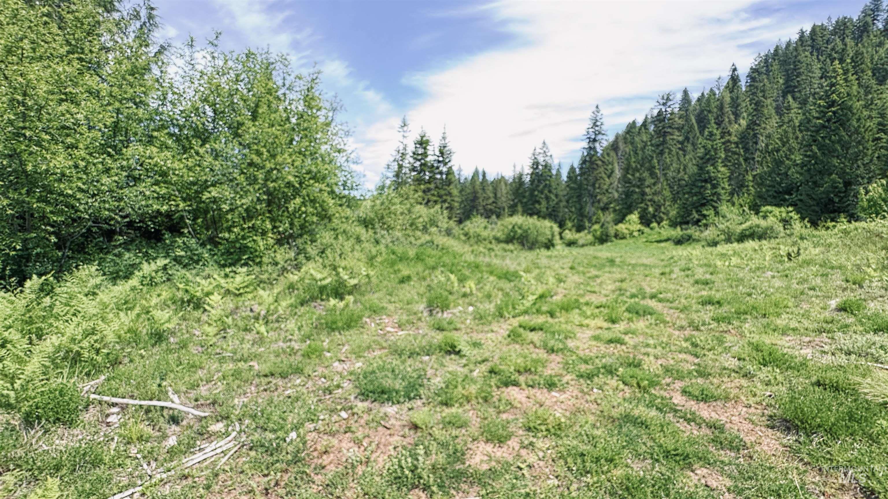 TBD Glenwood, Kamiah, Idaho 83536, Land For Sale, Price $299,999,MLS 98989435