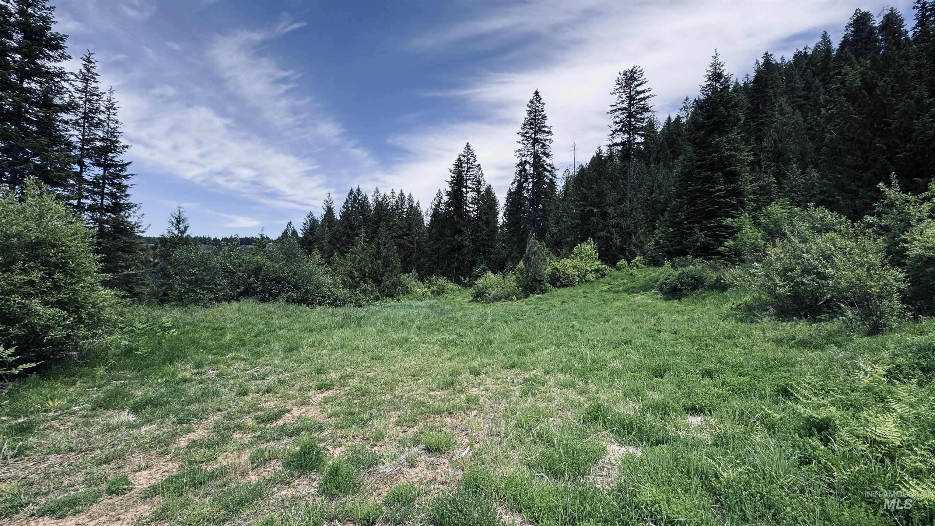 TBD Glenwood, Kamiah, Idaho 83536, Land For Sale, Price $299,999,MLS 98989435