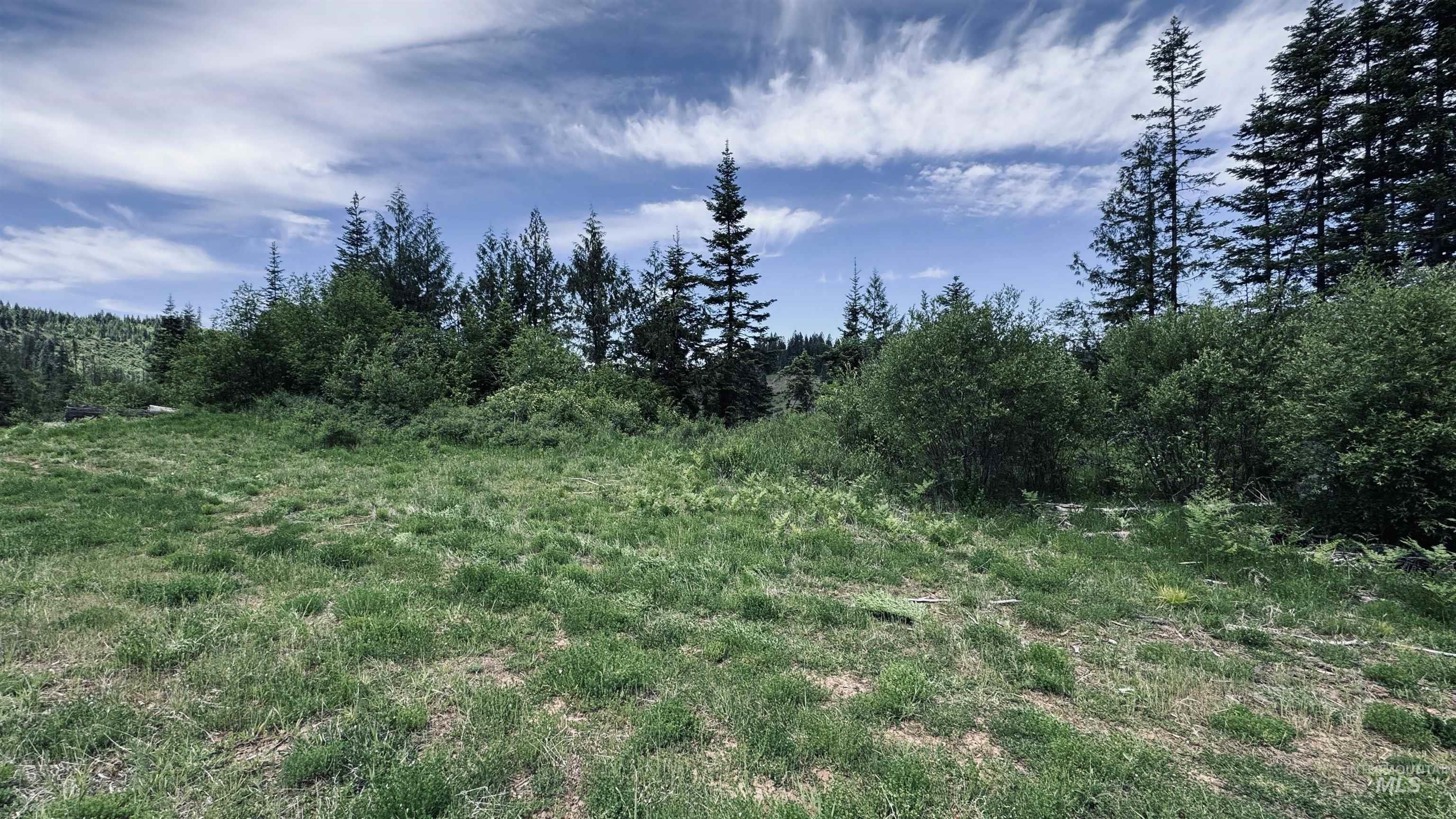 TBD Glenwood, Kamiah, Idaho 83536, Land For Sale, Price $299,999,MLS 98989435