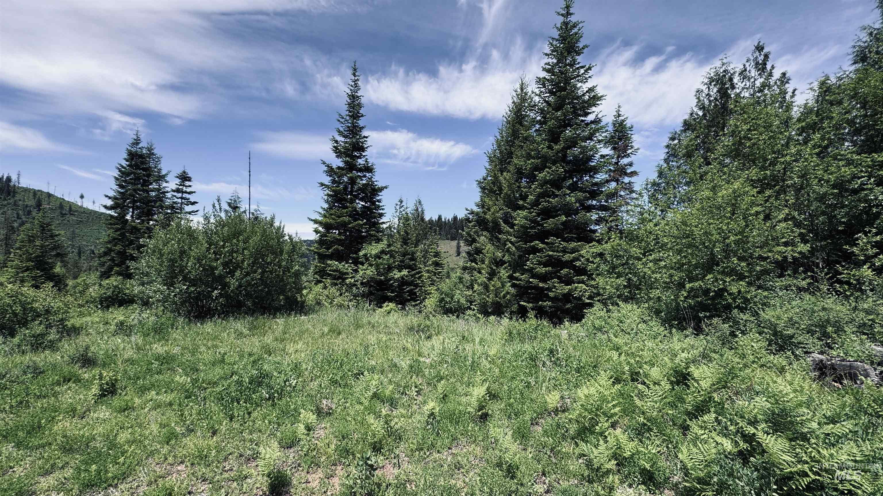 TBD Glenwood, Kamiah, Idaho 83536, Land For Sale, Price $299,999,MLS 98989435
