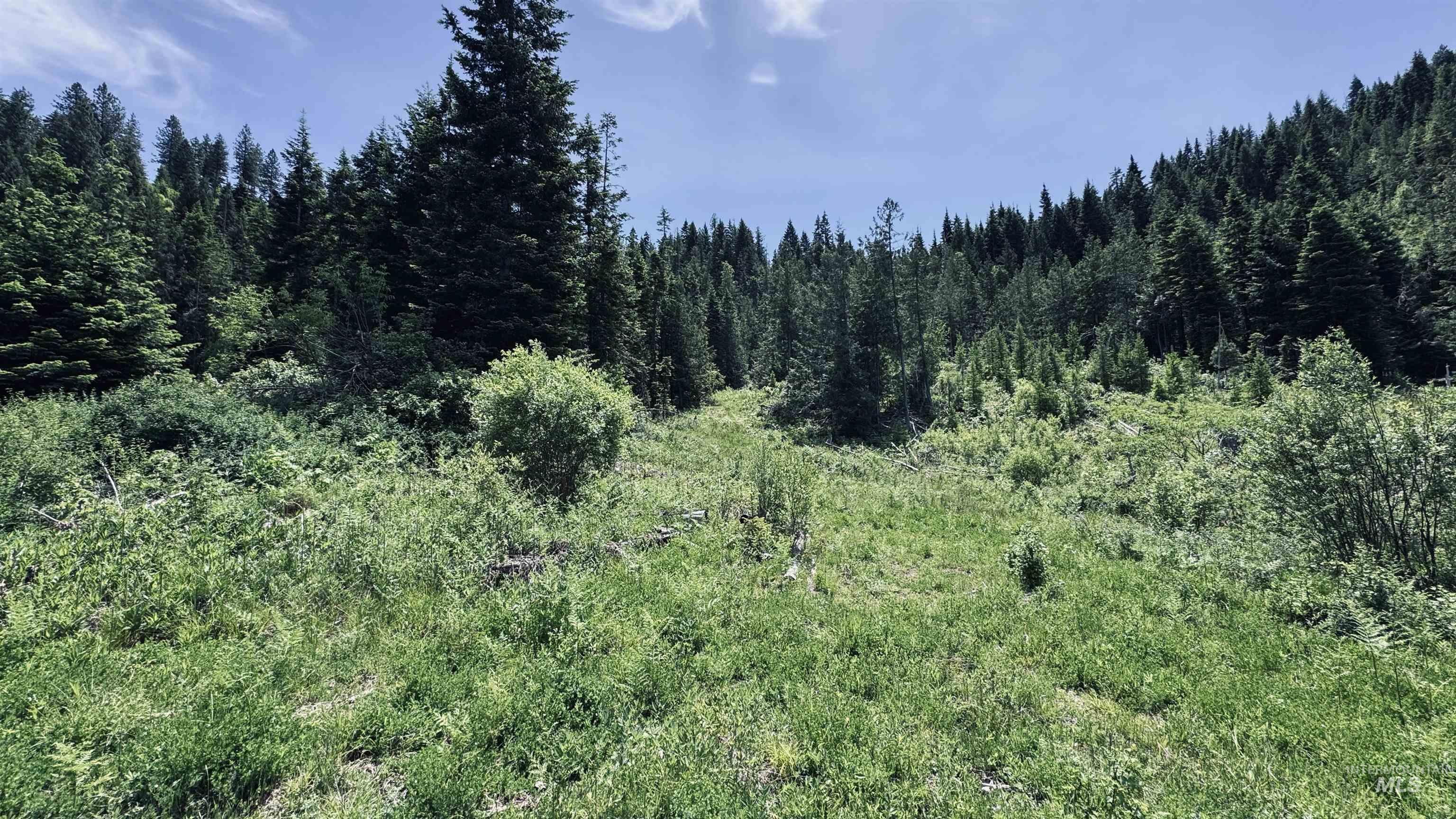 TBD Glenwood, Kamiah, Idaho 83536, Land For Sale, Price $299,999,MLS 98989435