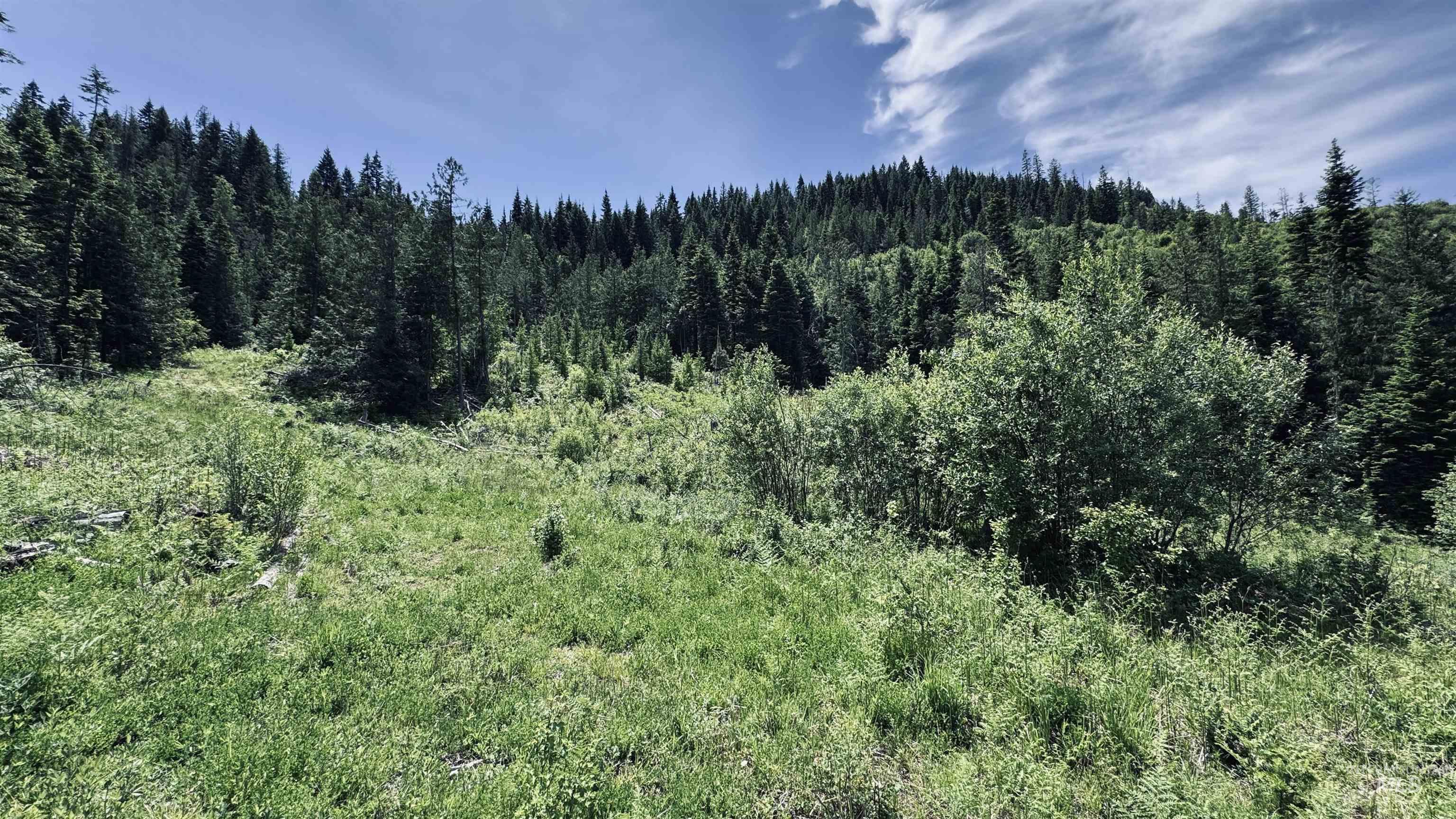 TBD Glenwood, Kamiah, Idaho 83536, Land For Sale, Price $299,999,MLS 98989435