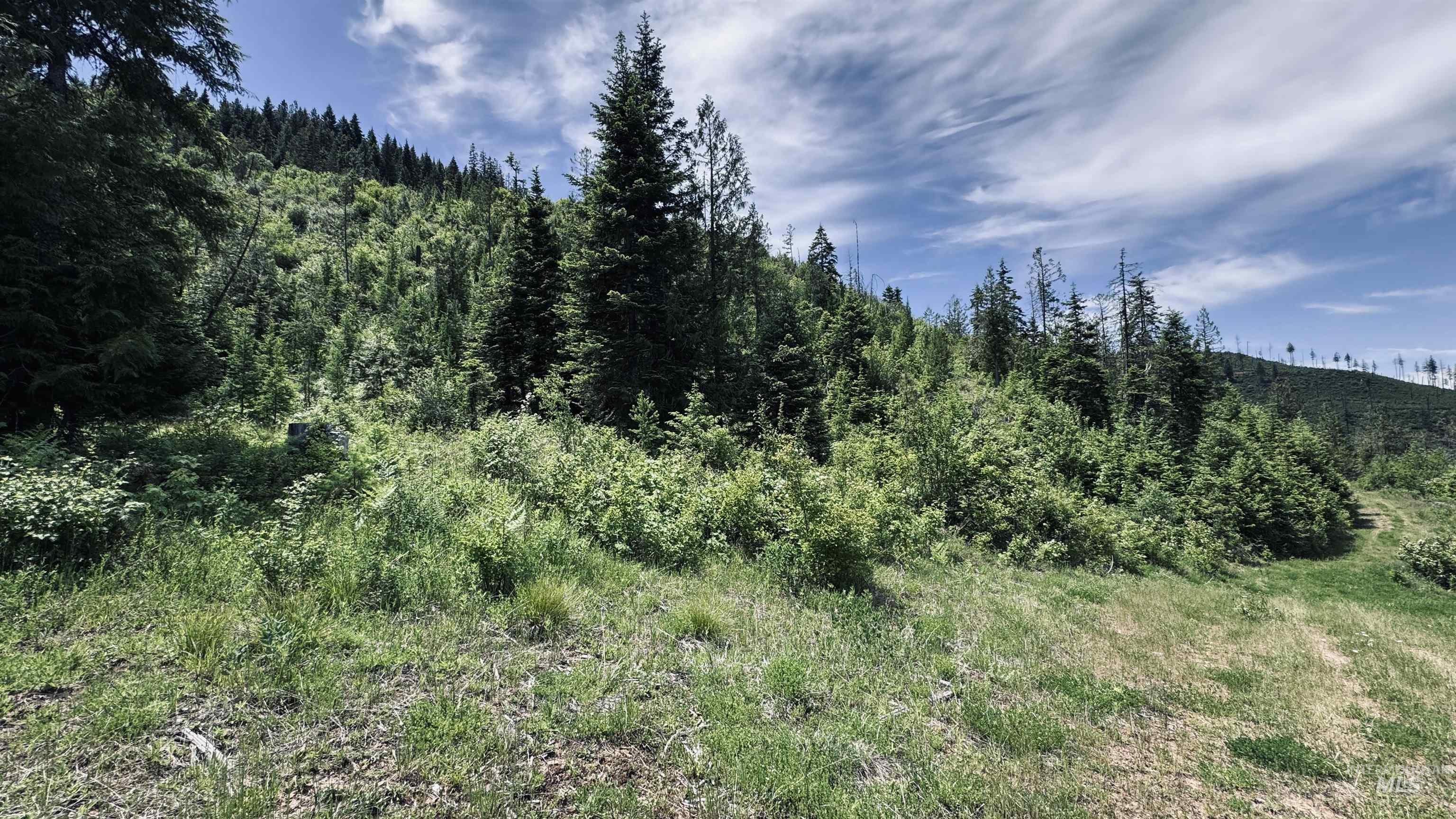 TBD Glenwood, Kamiah, Idaho 83536, Land For Sale, Price $299,999,MLS 98989435