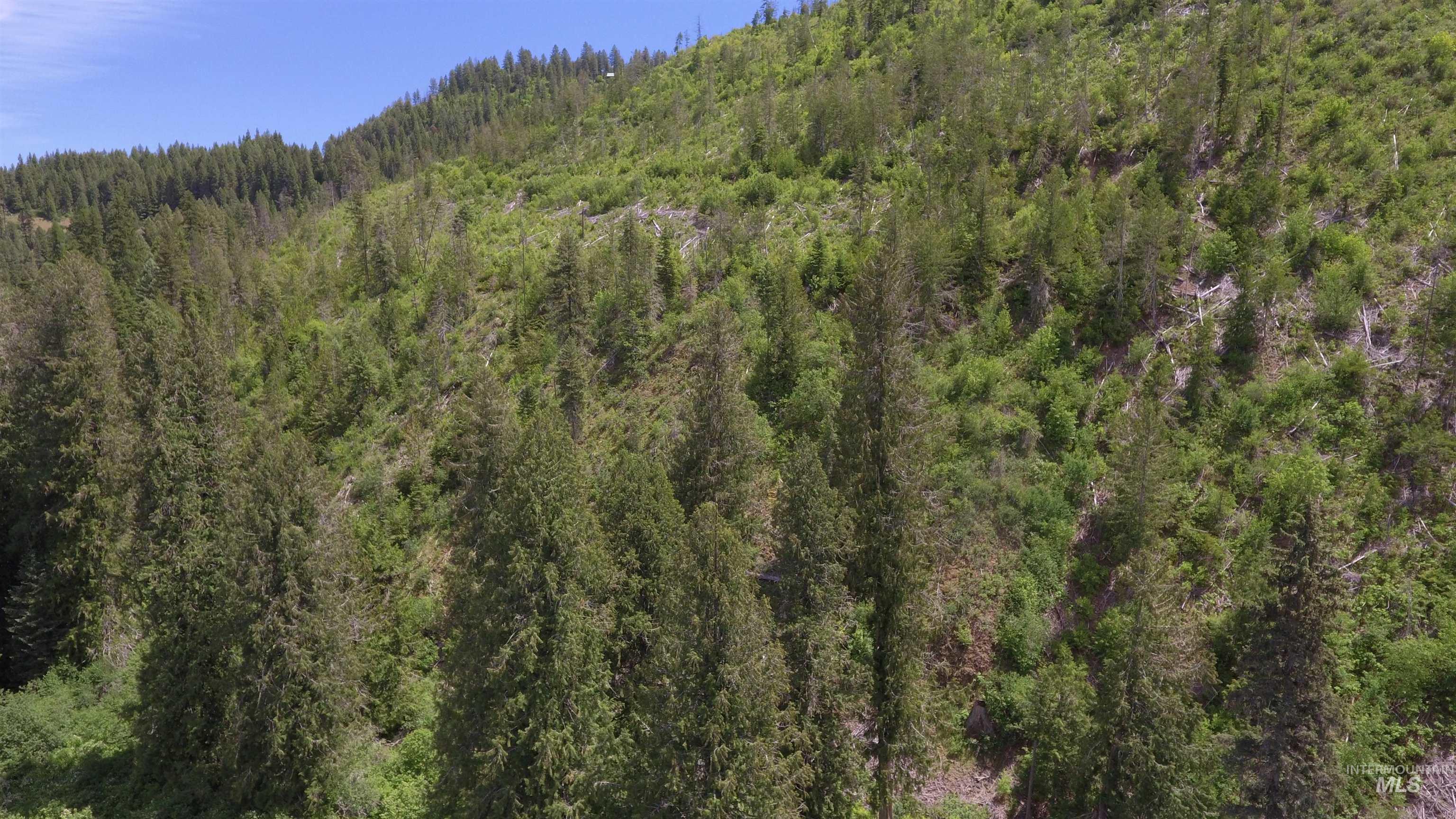 TBD Glenwood, Kamiah, Idaho 83536, Land For Sale, Price $299,999,MLS 98989435