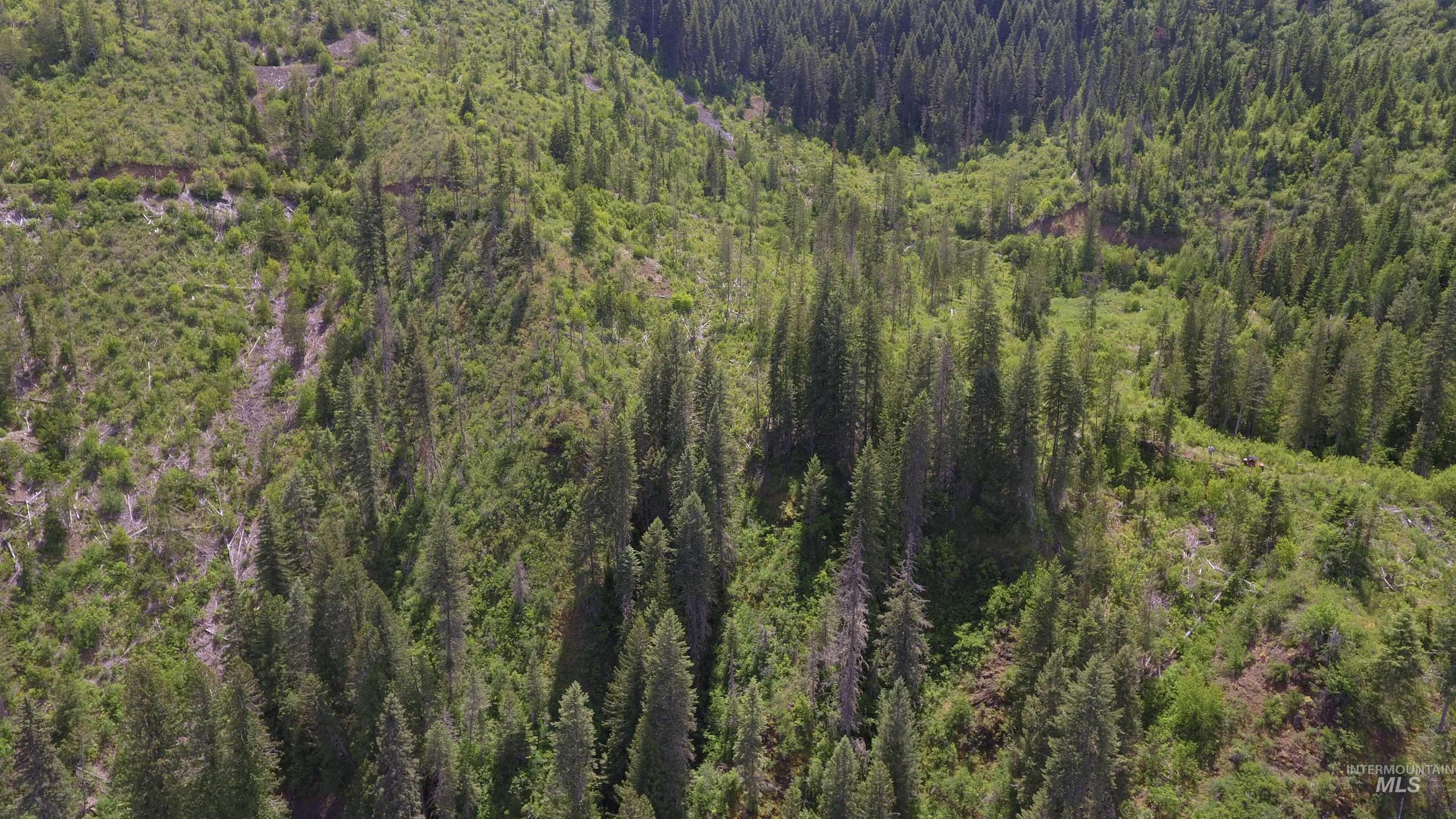 TBD Glenwood, Kamiah, Idaho 83536, Land For Sale, Price $299,999,MLS 98989435