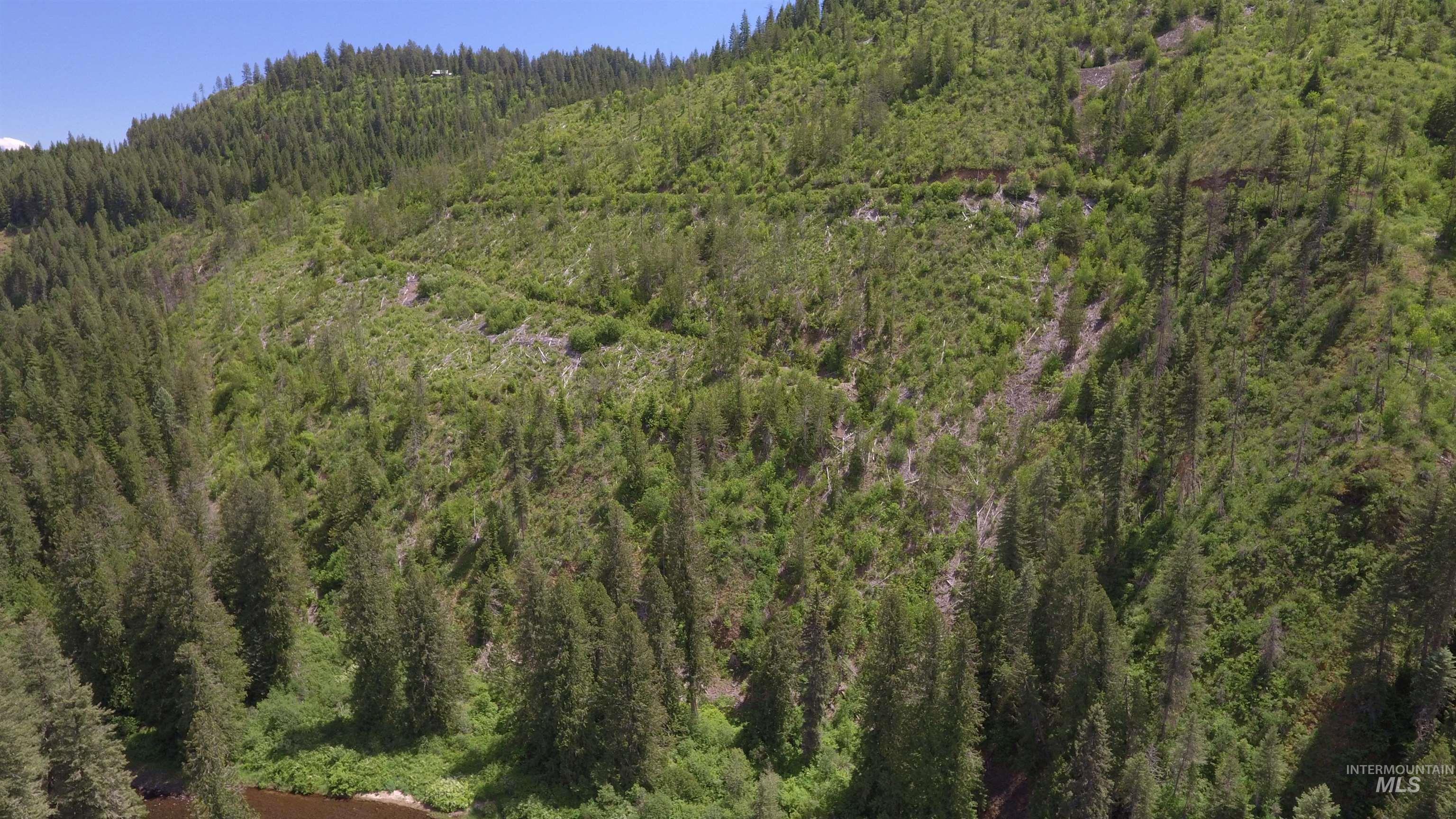 TBD Glenwood, Kamiah, Idaho 83536, Land For Sale, Price $299,999,MLS 98989435
