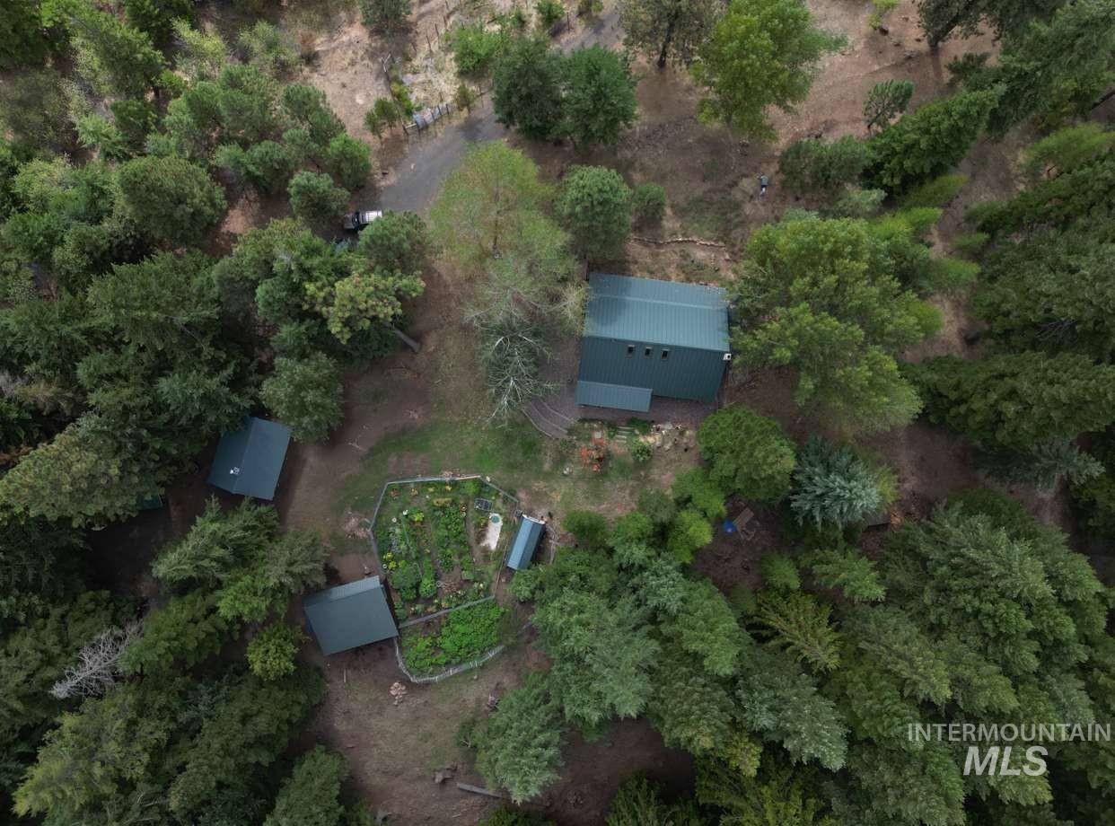 1021 Smokey Bear Ln, Kendrick, Idaho 83537, 3 Bedrooms, 1 Bathroom, Farm & Ranch For Sale, Price $900,000,MLS 98989448