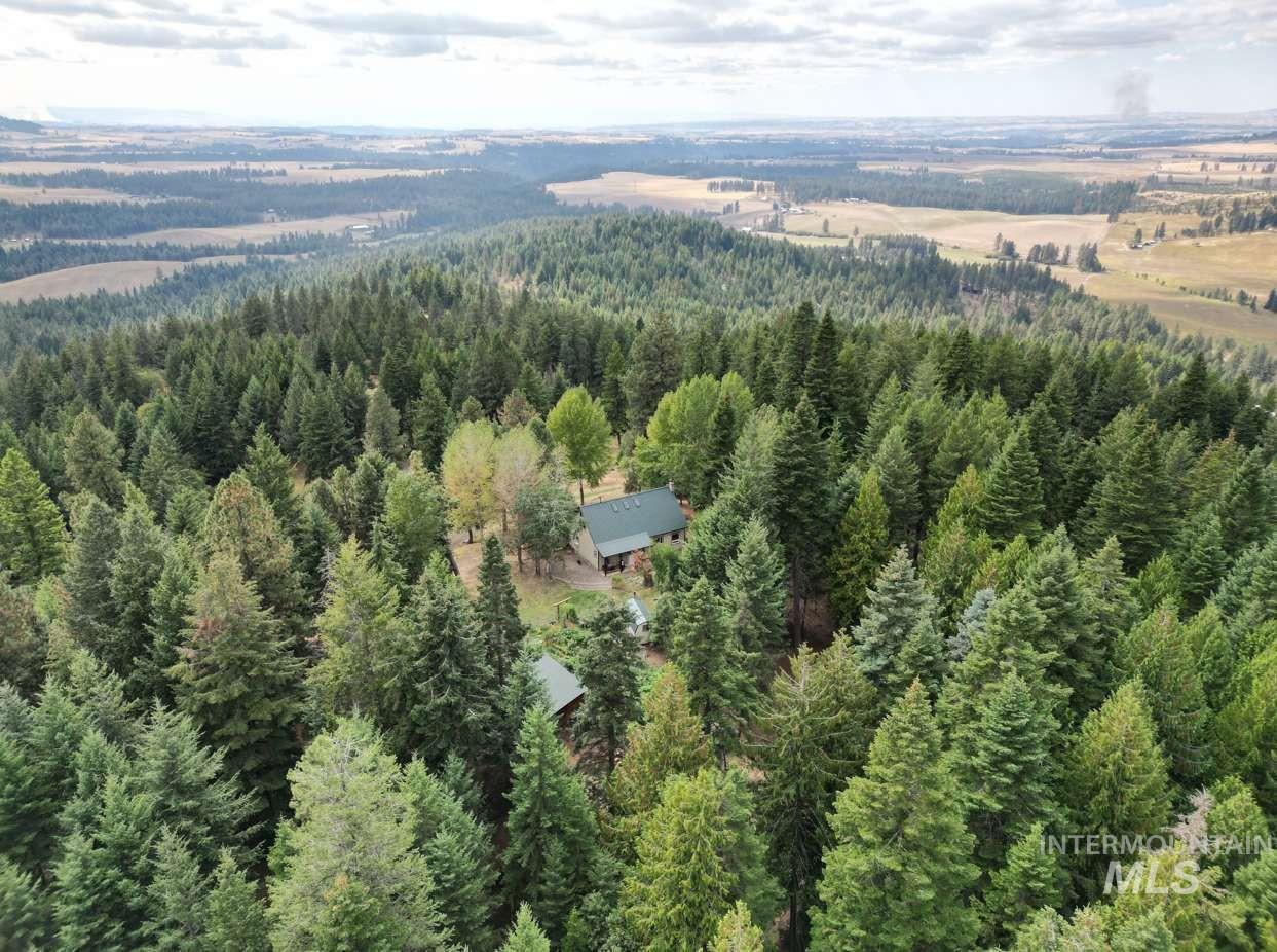 1021 Smokey Bear Ln, Kendrick, Idaho 83537, 3 Bedrooms, 1 Bathroom, Farm & Ranch For Sale, Price $900,000,MLS 98989448