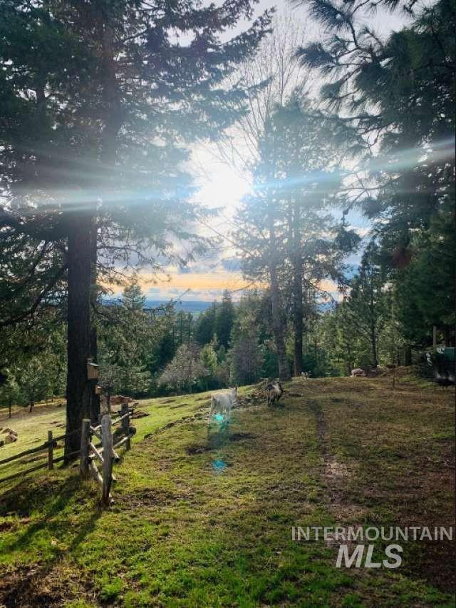 1021 Smokey Bear Ln, Kendrick, Idaho 83537, 3 Bedrooms, 1 Bathroom, Farm & Ranch For Sale, Price $900,000,MLS 98989448