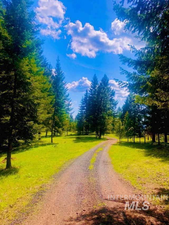 1021 Smokey Bear Ln, Kendrick, Idaho 83537, 3 Bedrooms, 1 Bathroom, Farm & Ranch For Sale, Price $900,000,MLS 98989448
