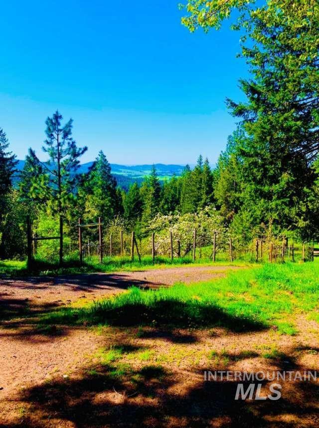 1021 Smokey Bear Ln, Kendrick, Idaho 83537, 3 Bedrooms, 1 Bathroom, Farm & Ranch For Sale, Price $900,000,MLS 98989448