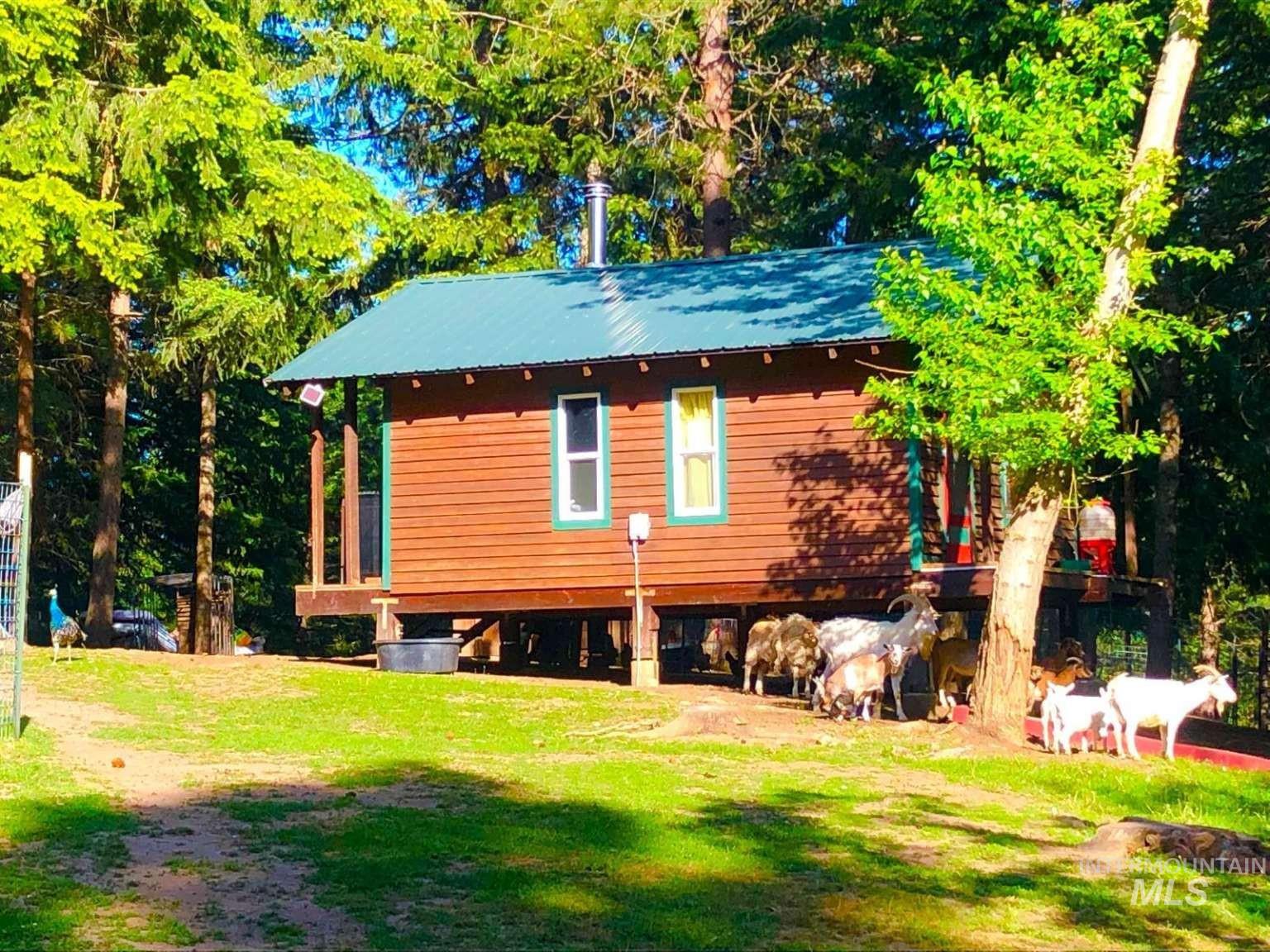 1021 Smokey Bear Ln, Kendrick, Idaho 83537, 3 Bedrooms, 1 Bathroom, Farm & Ranch For Sale, Price $900,000,MLS 98989448