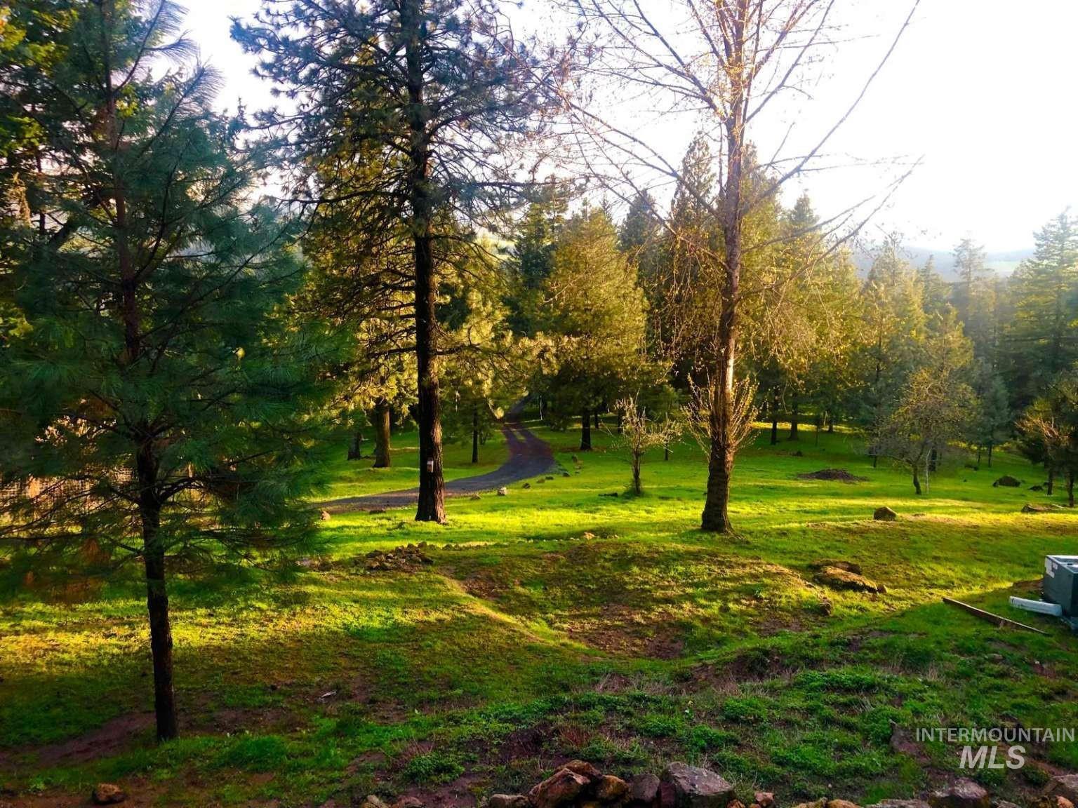 1021 Smokey Bear Ln, Kendrick, Idaho 83537, 3 Bedrooms, 1 Bathroom, Farm & Ranch For Sale, Price $900,000,MLS 98989448
