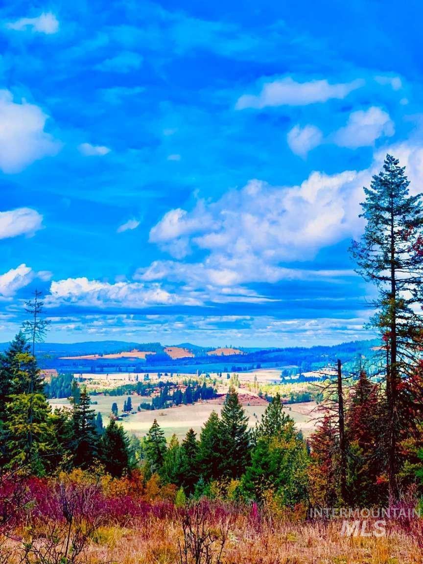 1021 Smokey Bear Ln, Kendrick, Idaho 83537, 3 Bedrooms, 1 Bathroom, Farm & Ranch For Sale, Price $900,000,MLS 98989448