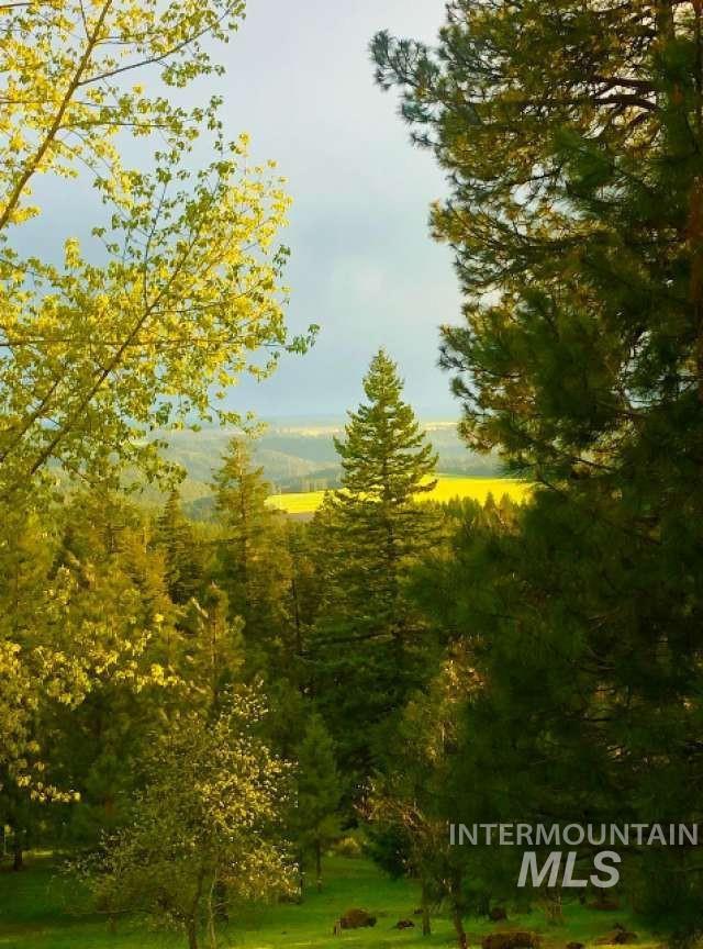 1021 Smokey Bear Ln, Kendrick, Idaho 83537, 3 Bedrooms, 1 Bathroom, Farm & Ranch For Sale, Price $900,000,MLS 98989448