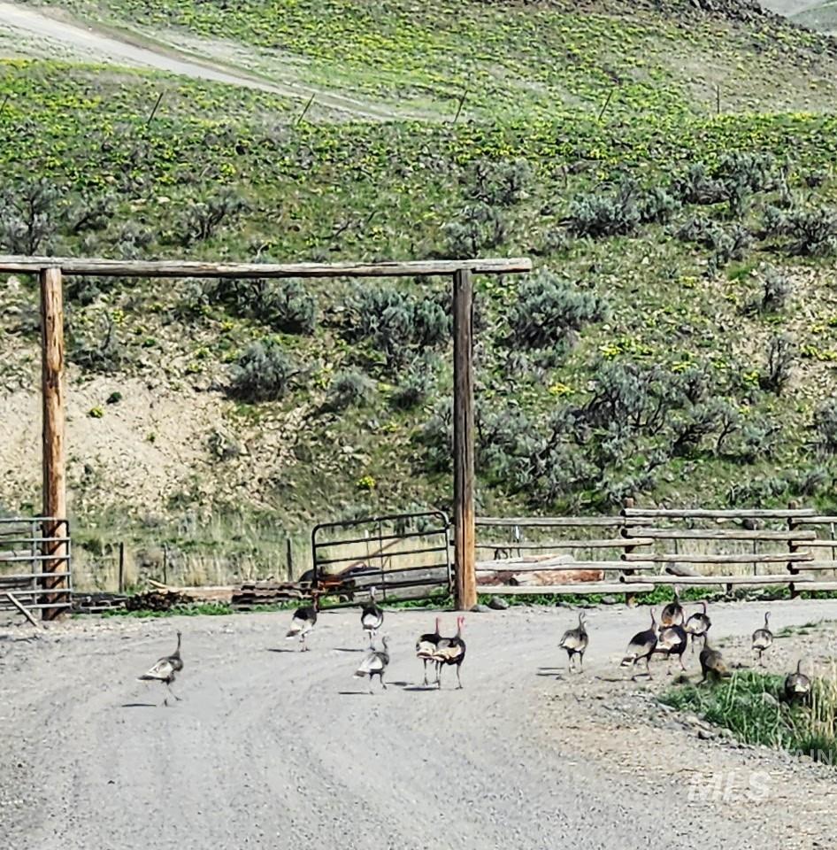 114 Paddock Valley Rd, Payette, Idaho 83661, 3 Bedrooms, 1 Bathroom, Farm & Ranch For Sale, Price $3,840,000,MLS 98989455