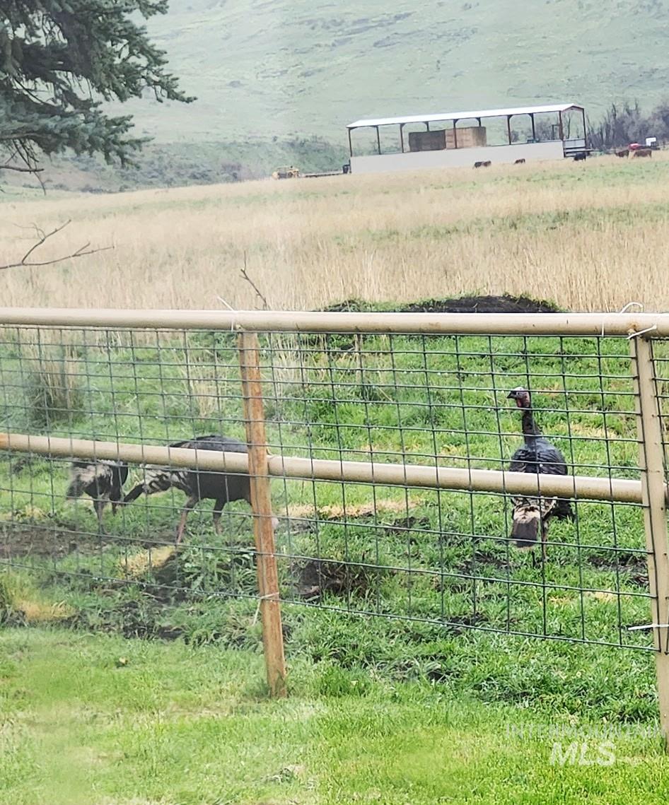 114 Paddock Valley Rd, Payette, Idaho 83661, 3 Bedrooms, 1 Bathroom, Farm & Ranch For Sale, Price $3,840,000,MLS 98989455