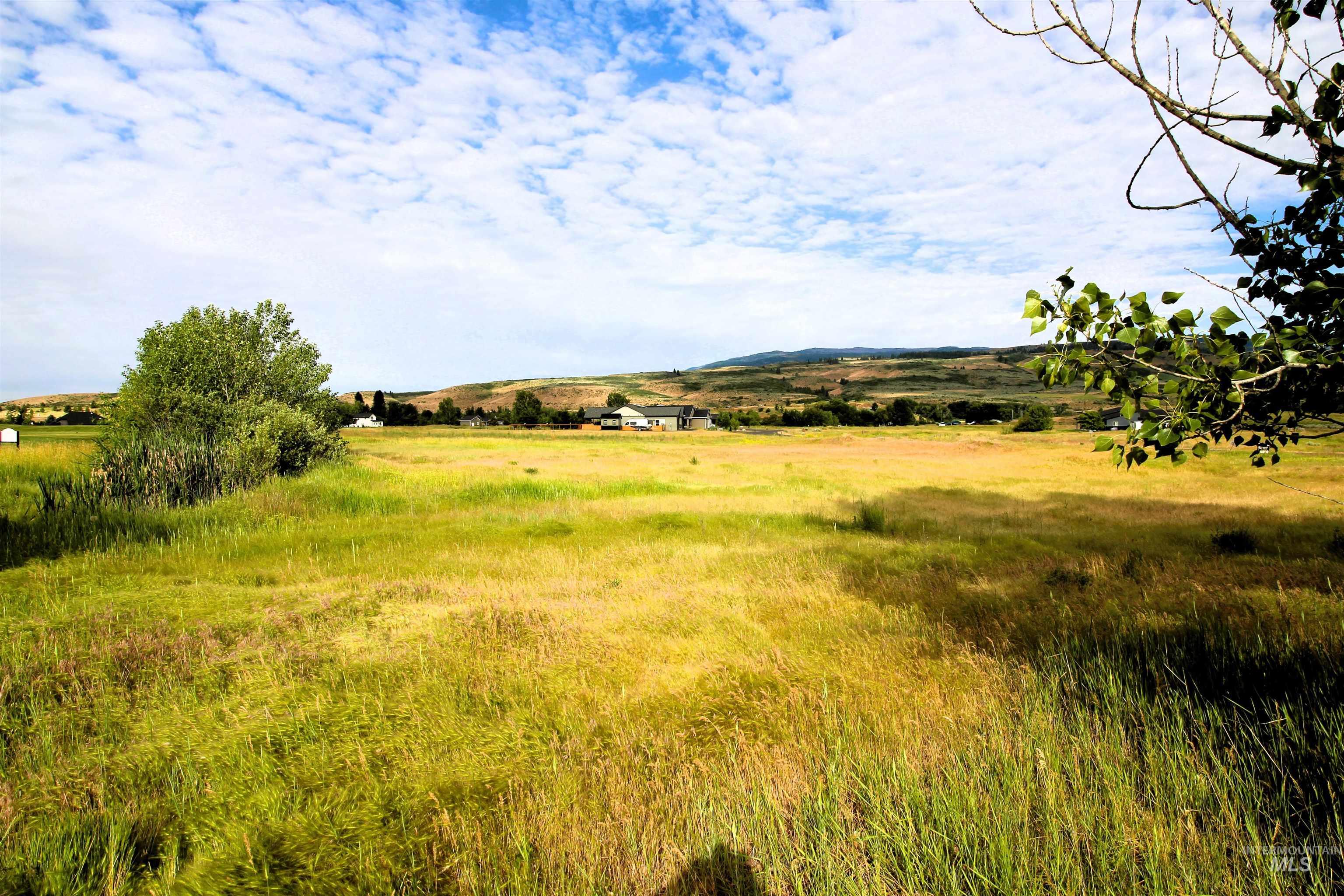 Lot 47 Fairway Drive, Council, Idaho 83612, Land For Sale, Price $39,900,MLS 98989518