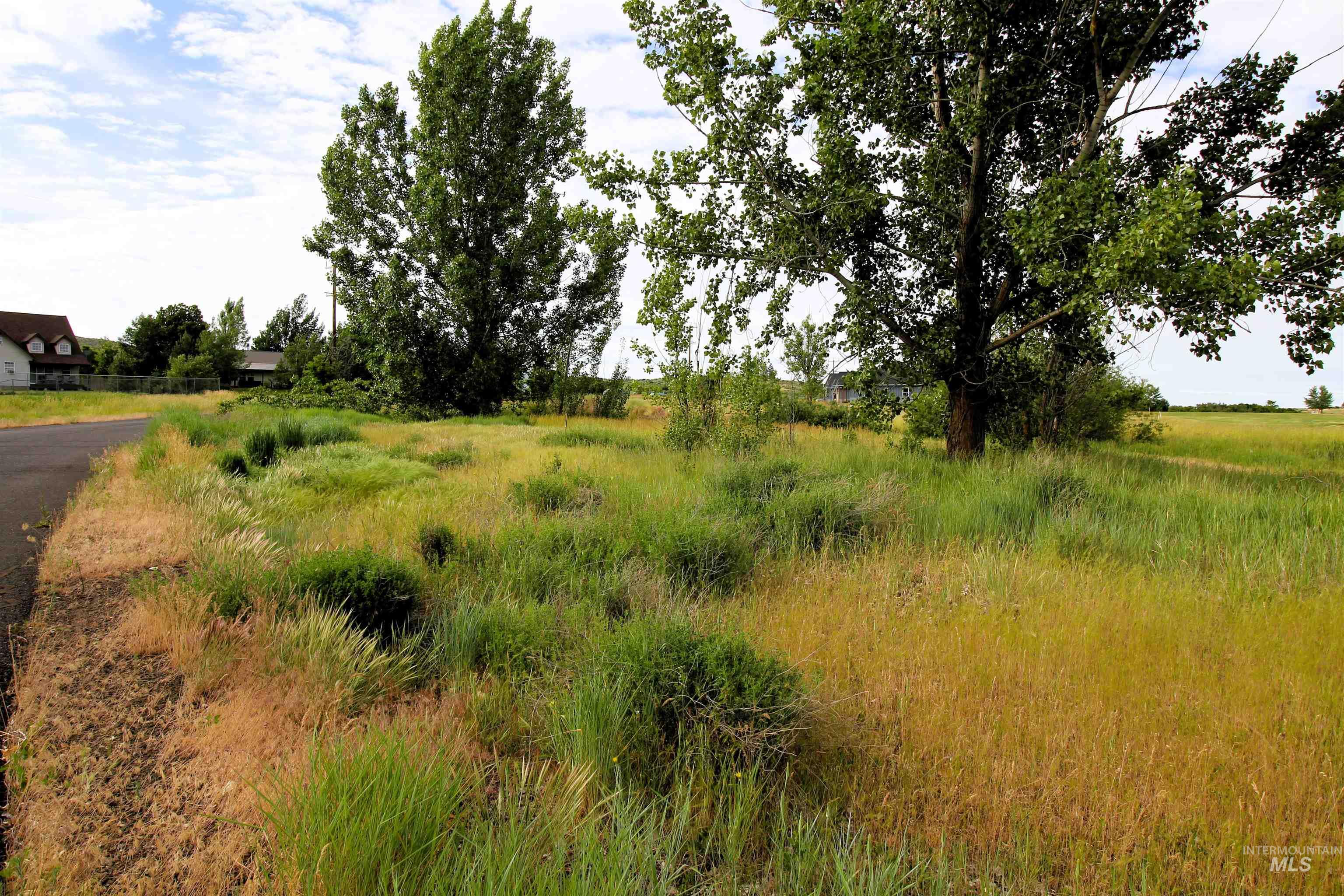 Lot 47 Fairway Drive, Council, Idaho 83612, Land For Sale, Price $39,900,MLS 98989518