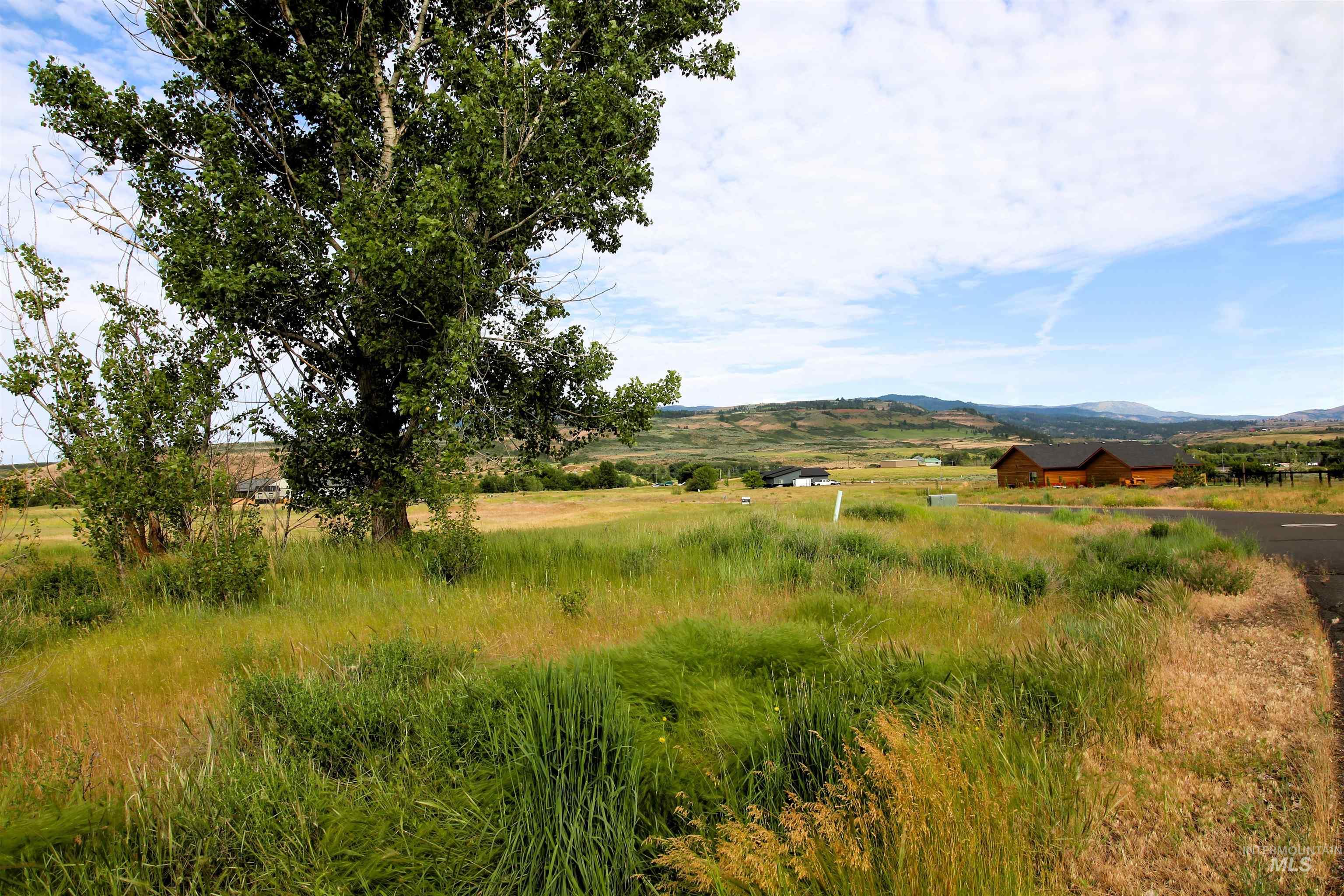 Lot 47 Fairway Drive, Council, Idaho 83612, Land For Sale, Price $39,900,MLS 98989518