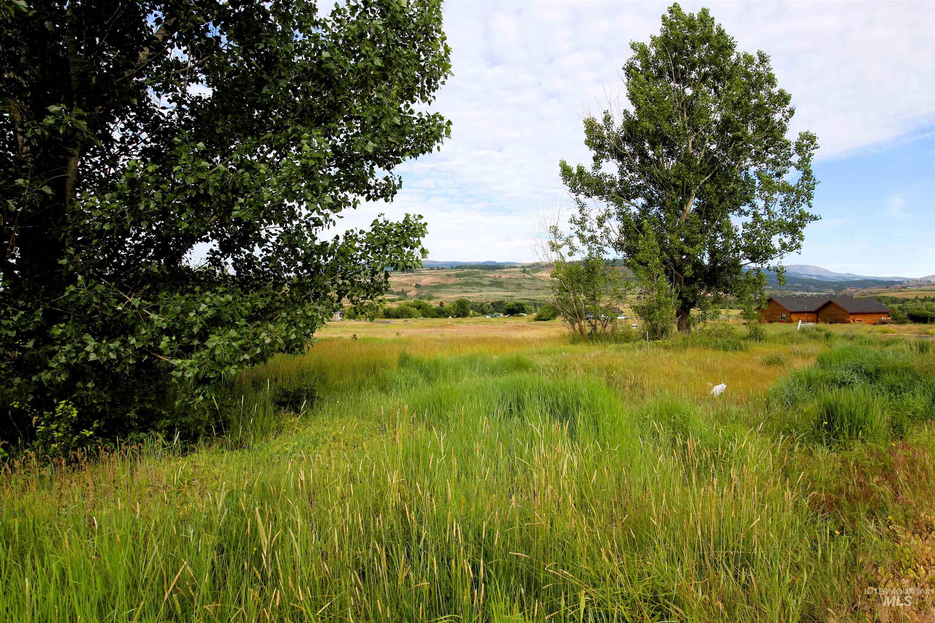 Lot 47 Fairway Drive, Council, Idaho 83612, Land For Sale, Price $39,900,MLS 98989518