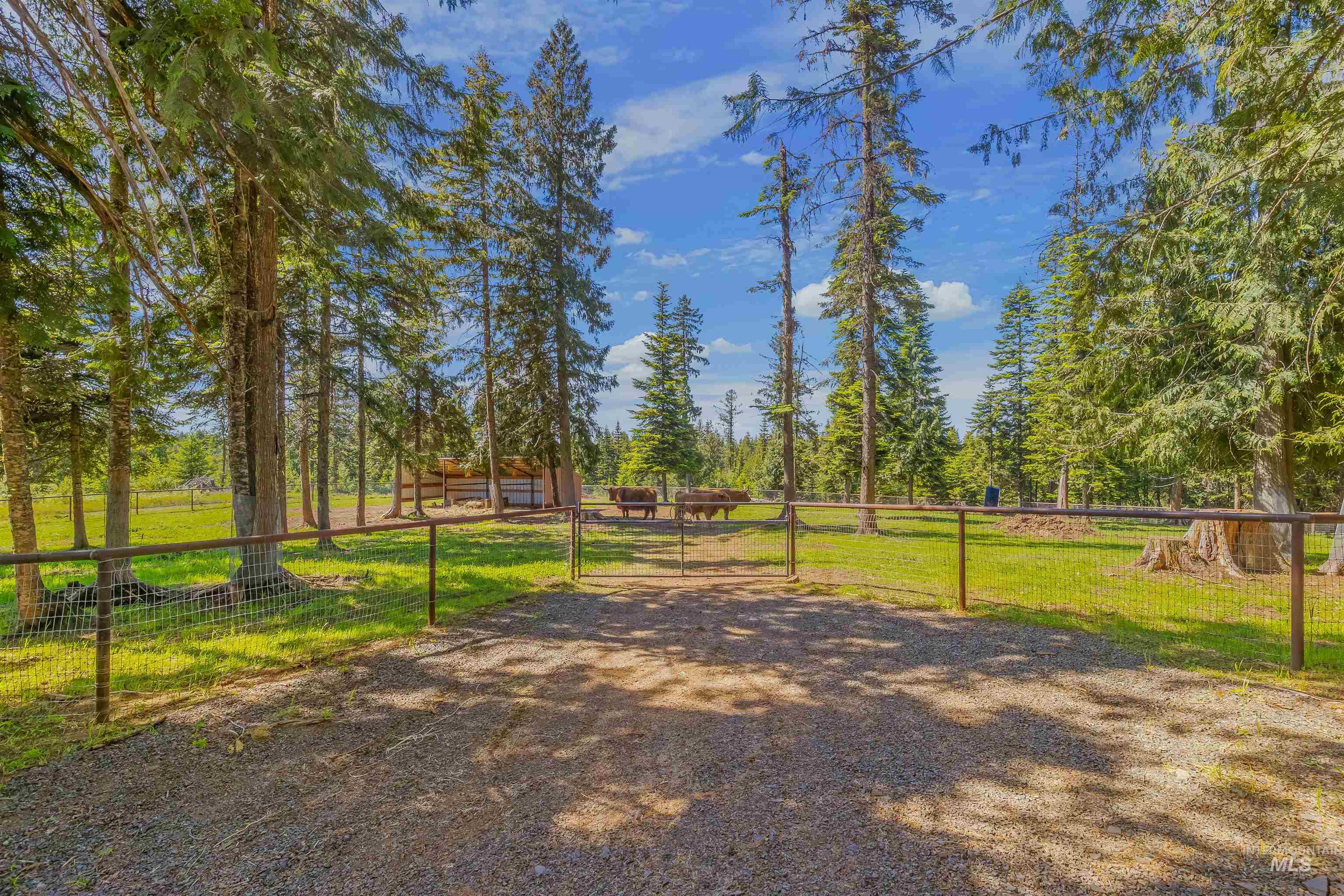 1442 Band Mill Road, Orofino, Idaho 83544, 2 Bedrooms, 1.5 Bathrooms, Residential For Sale, Price $635,000, 98989520