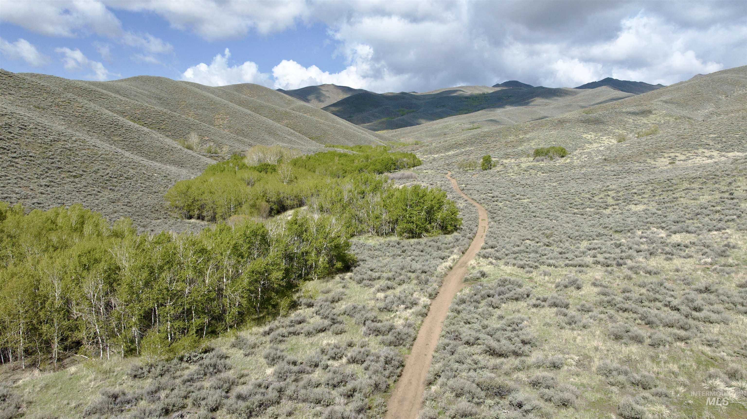 TBD Lees Gulch Rd, Bellevue, Idaho 83313, Land For Sale, Price $99,000,MLS 98989521