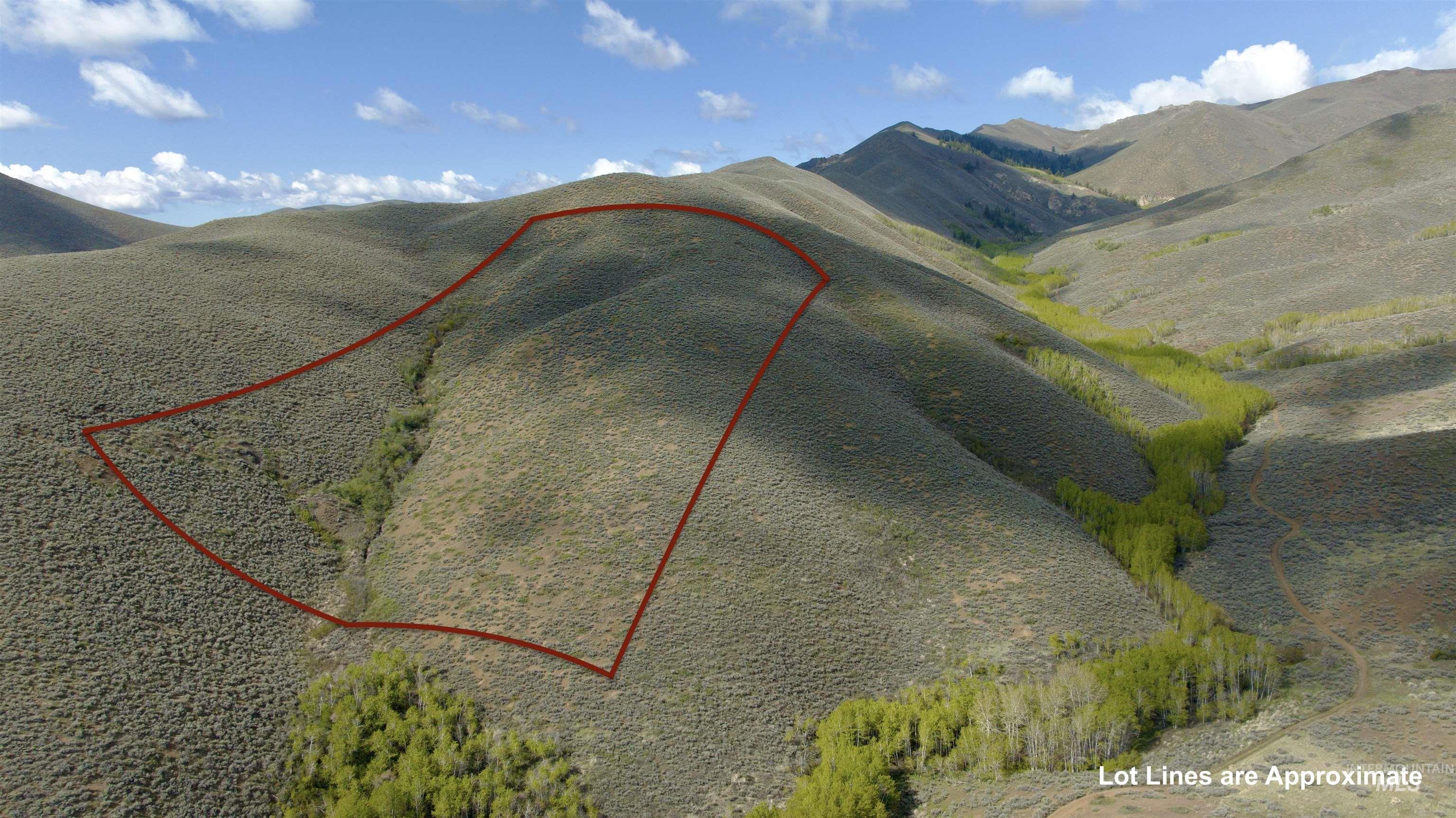TBD Lees Gulch Rd, Bellevue, Idaho 83313, Land For Sale, Price $99,000,MLS 98989521