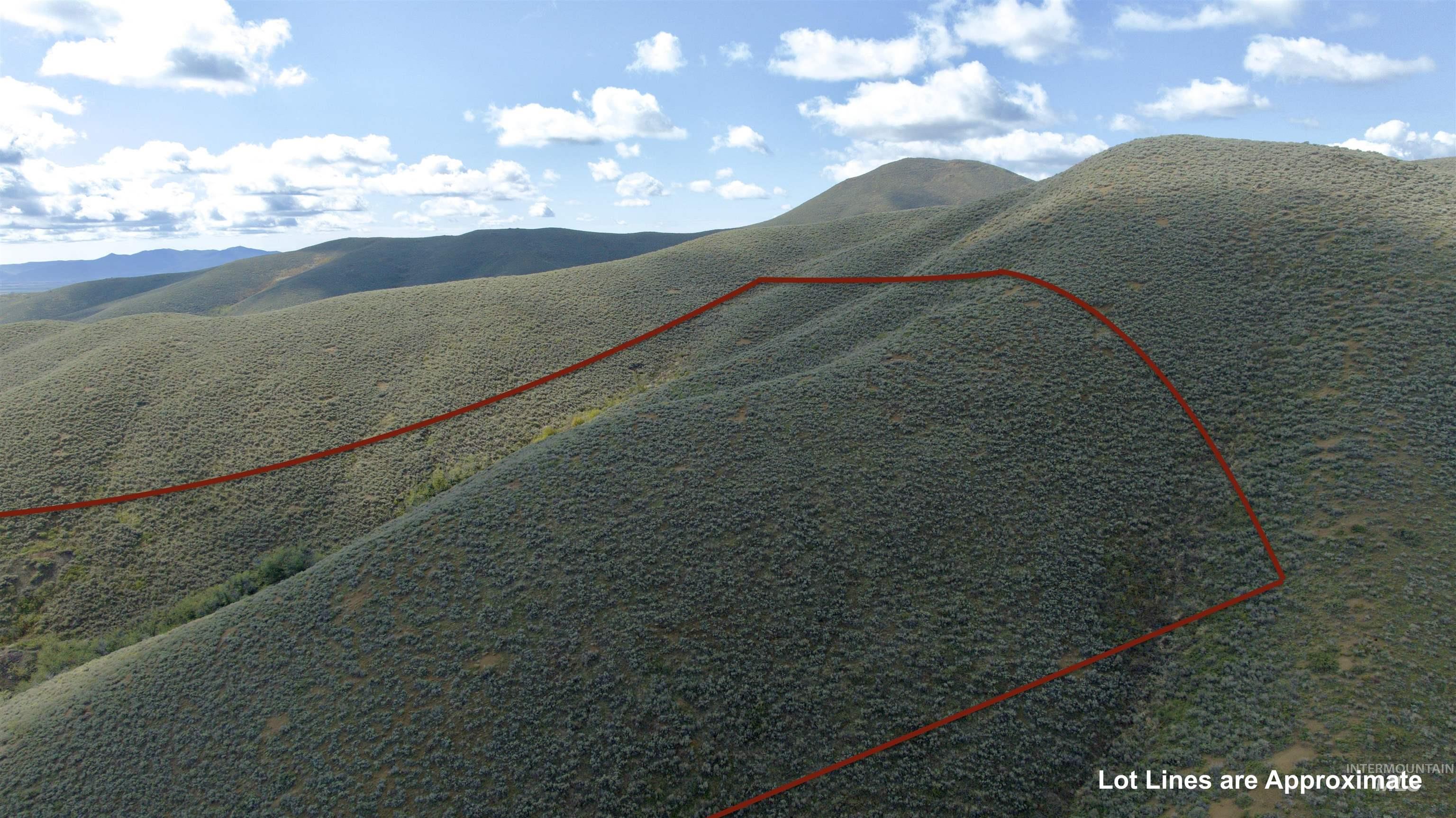 TBD Lees Gulch Rd, Bellevue, Idaho 83313, Land For Sale, Price $99,000,MLS 98989521