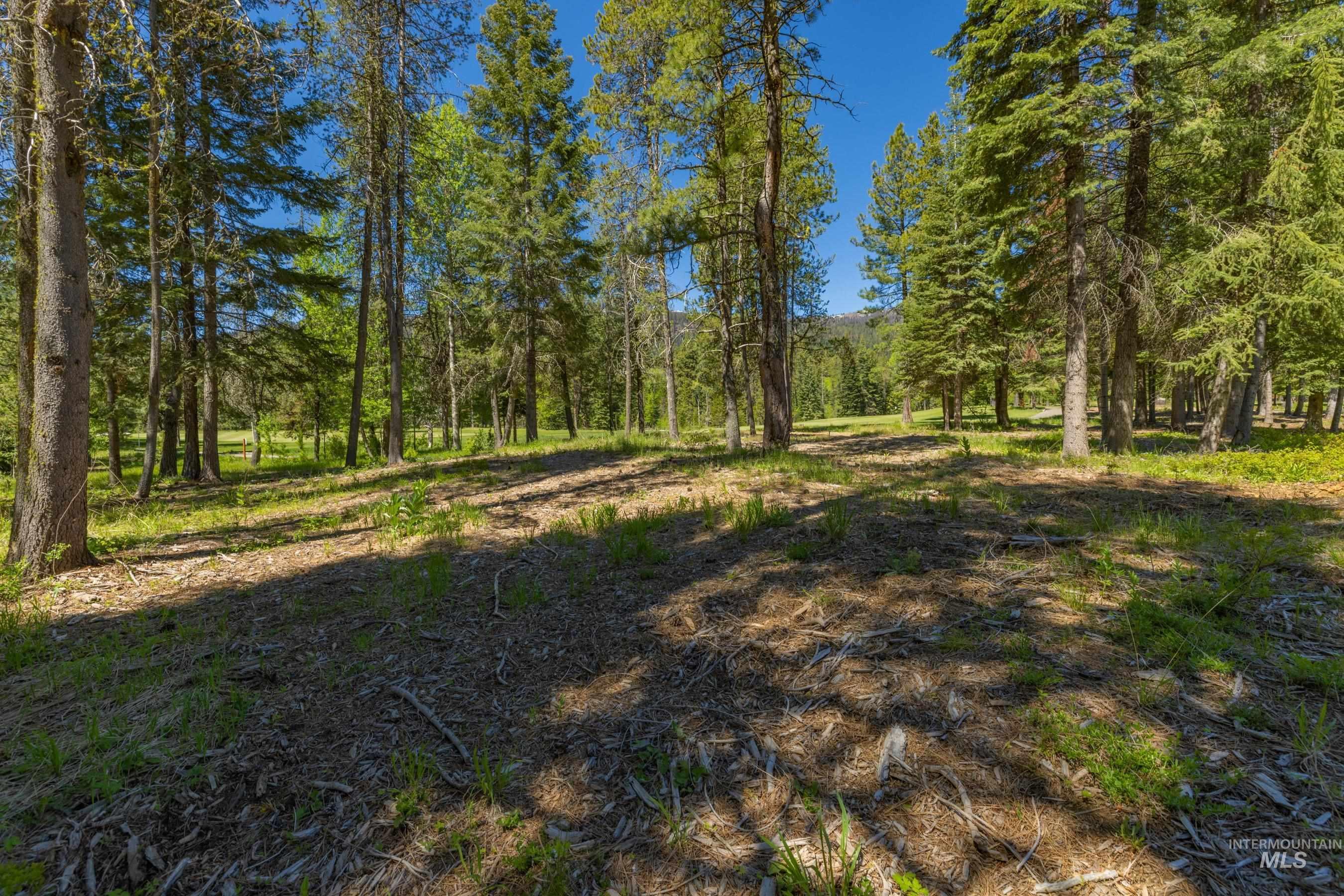 207 Spataro Drive, Donnelly, Idaho 83615, Land For Sale, Price $695,000,MLS 98989562