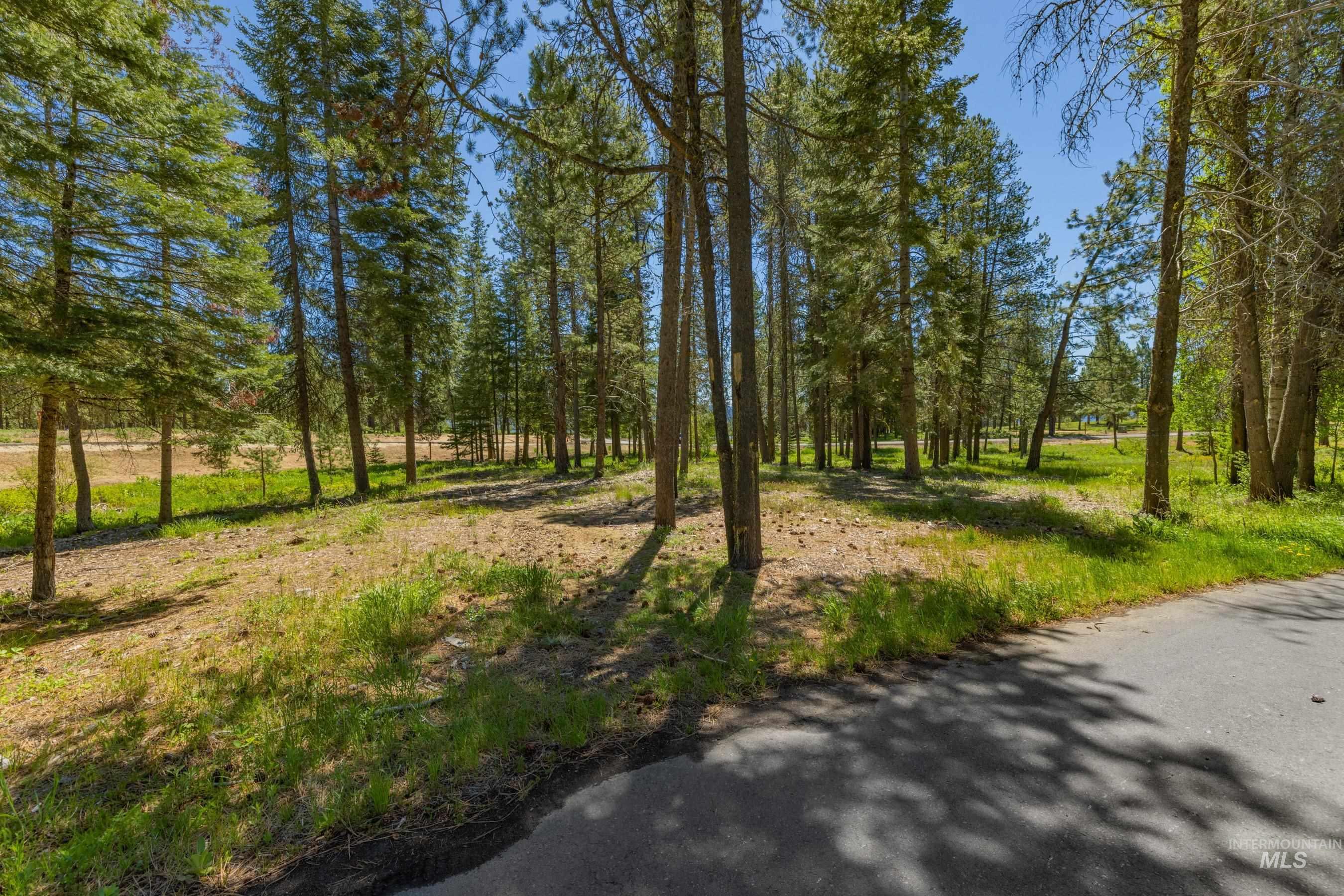 207 Spataro Drive, Donnelly, Idaho 83615, Land For Sale, Price $695,000,MLS 98989562