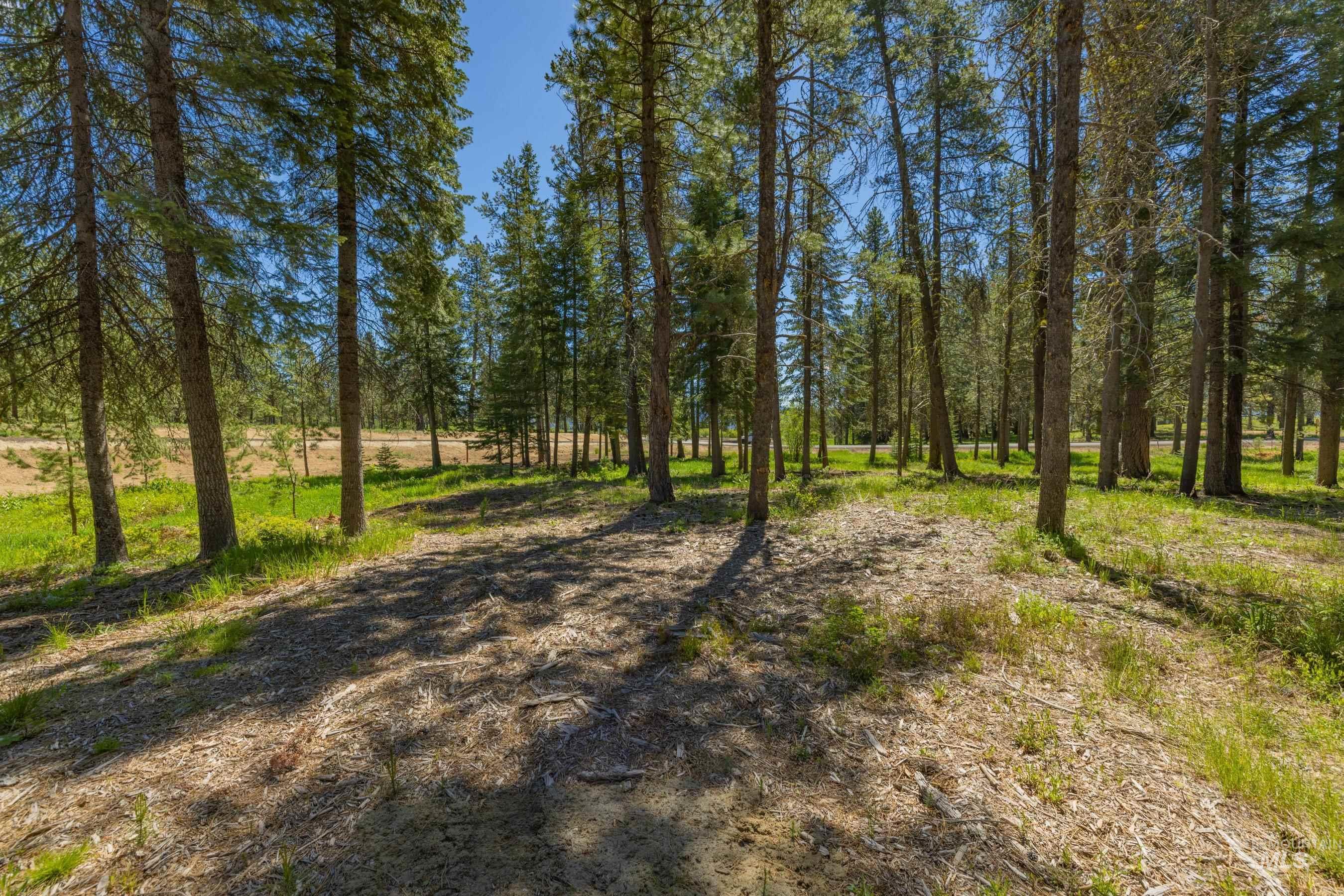 207 Spataro Drive, Donnelly, Idaho 83615, Land For Sale, Price $695,000,MLS 98989562