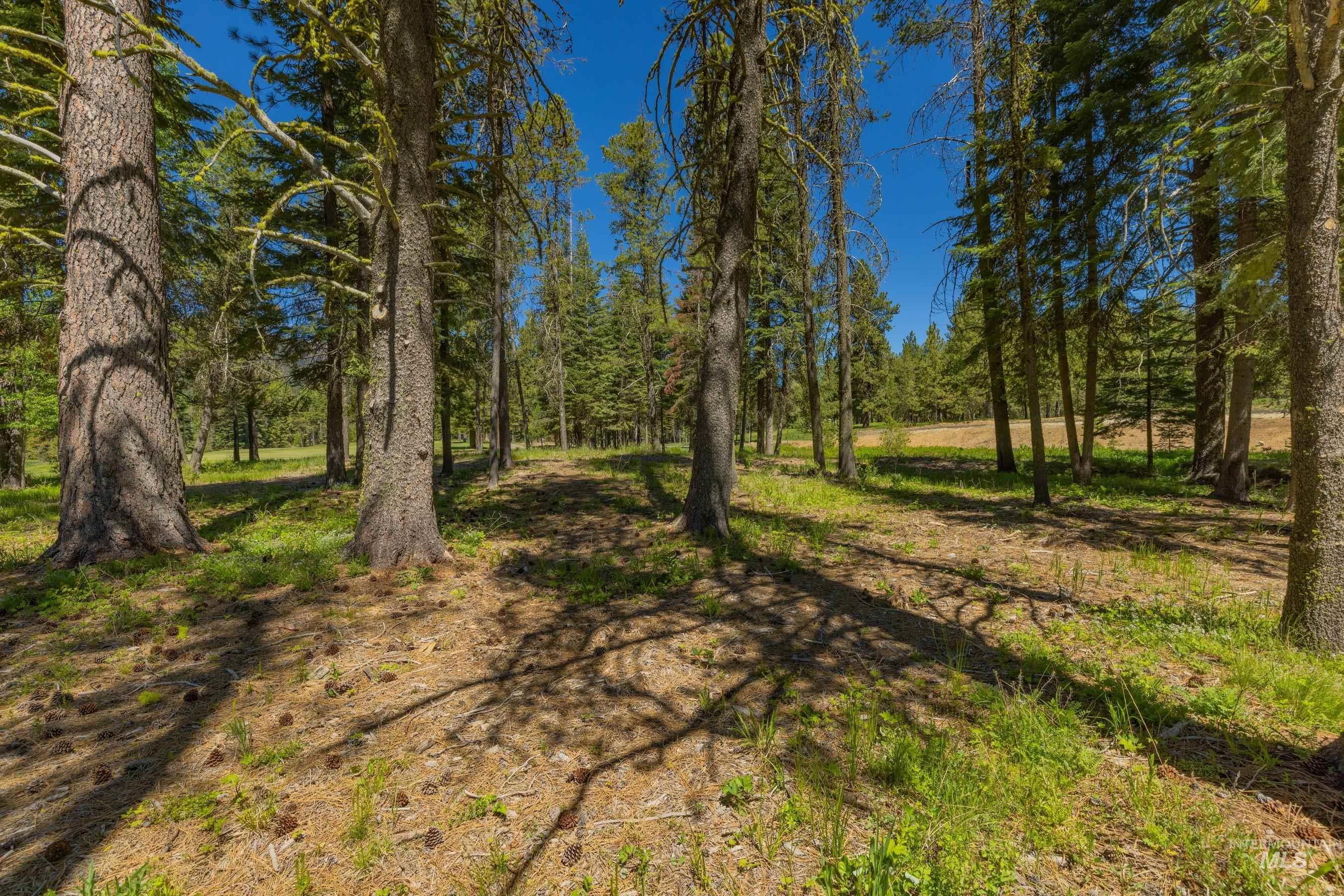 207 Spataro Drive, Donnelly, Idaho 83615, Land For Sale, Price $695,000,MLS 98989562
