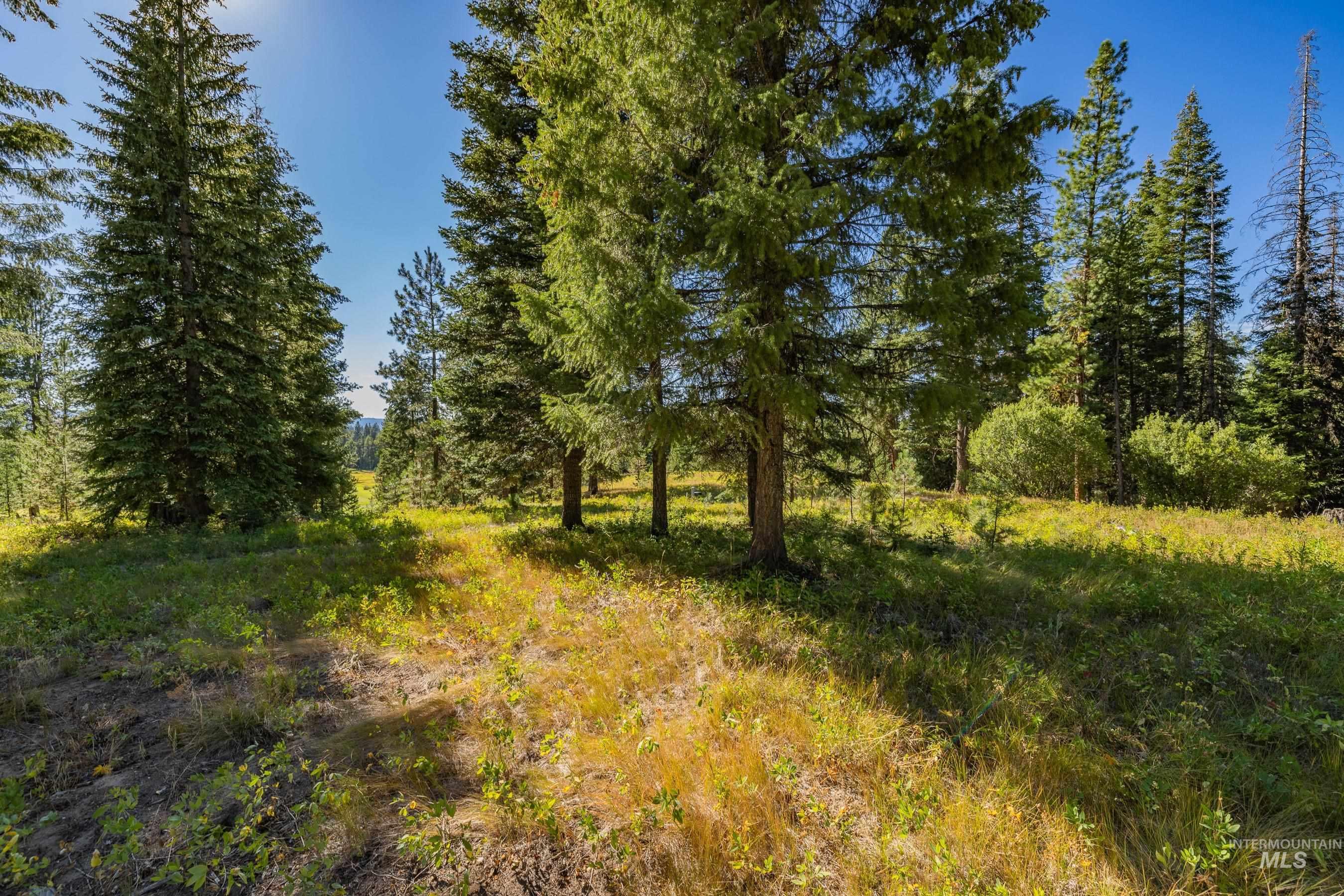 20 Vernon Court, McCall, Idaho 83638, Land For Sale, Price $229,000,MLS 98989563