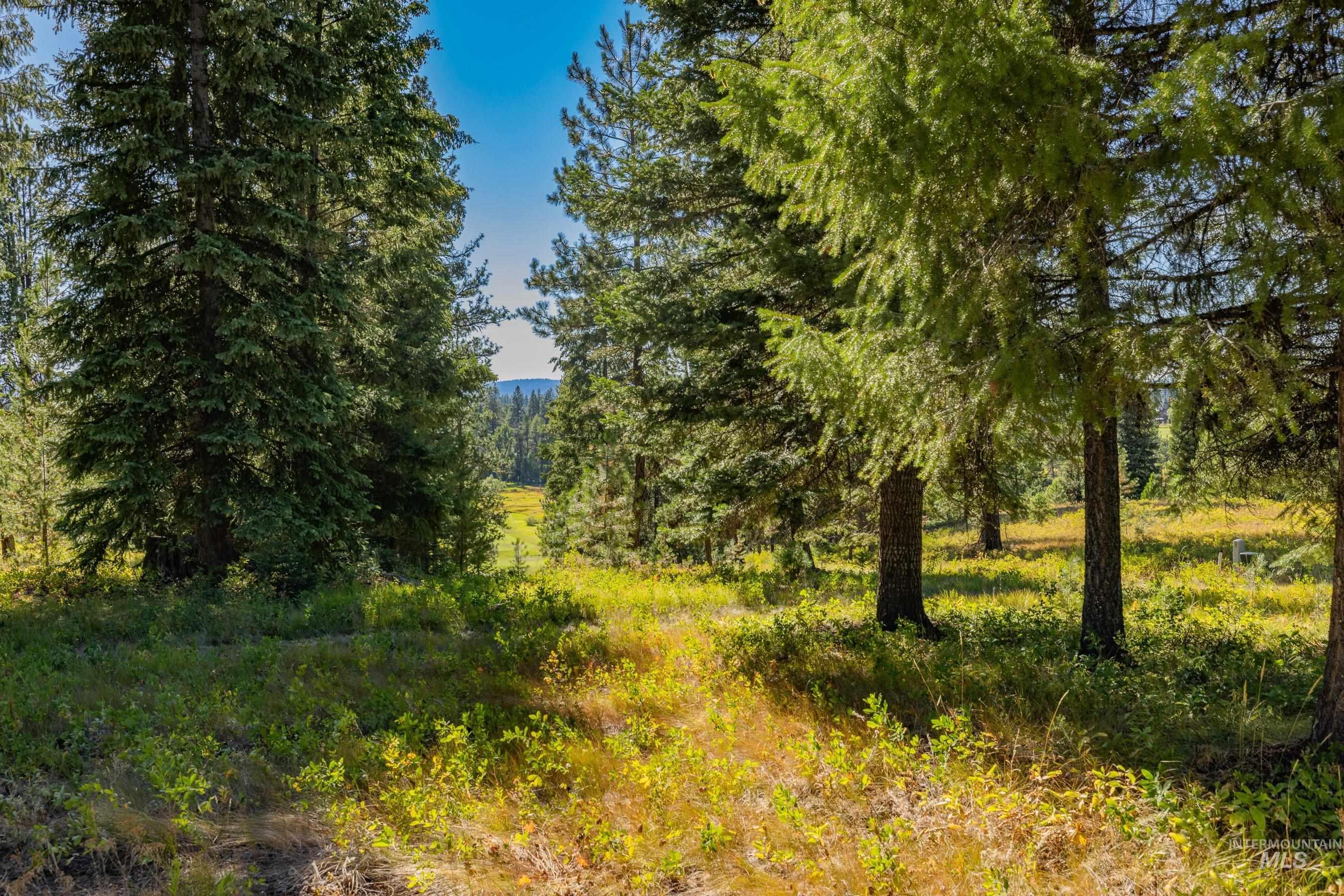 20 Vernon Court, McCall, Idaho 83638, Land For Sale, Price $229,000,MLS 98989563