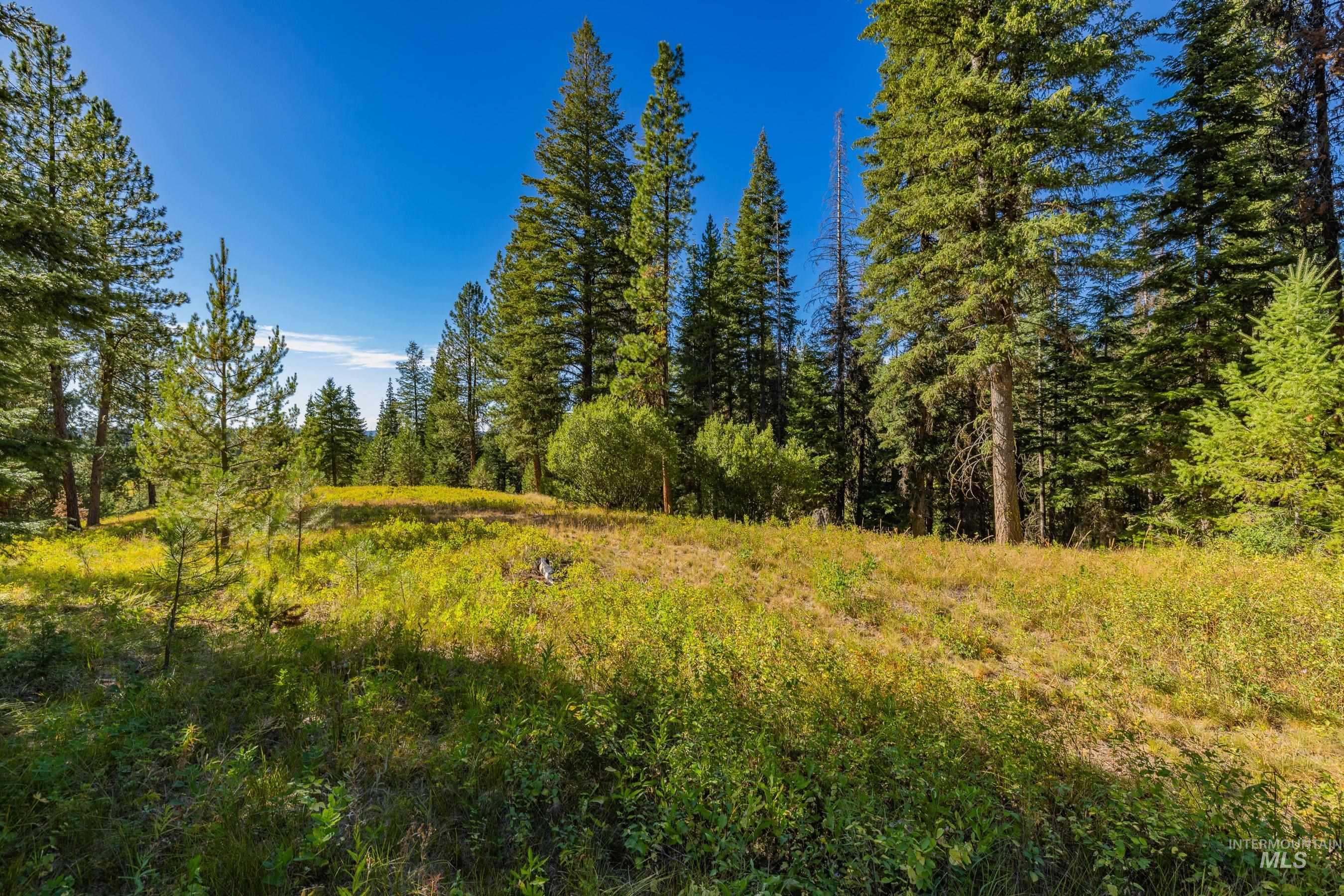 20 Vernon Court, McCall, Idaho 83638, Land For Sale, Price $229,000,MLS 98989563