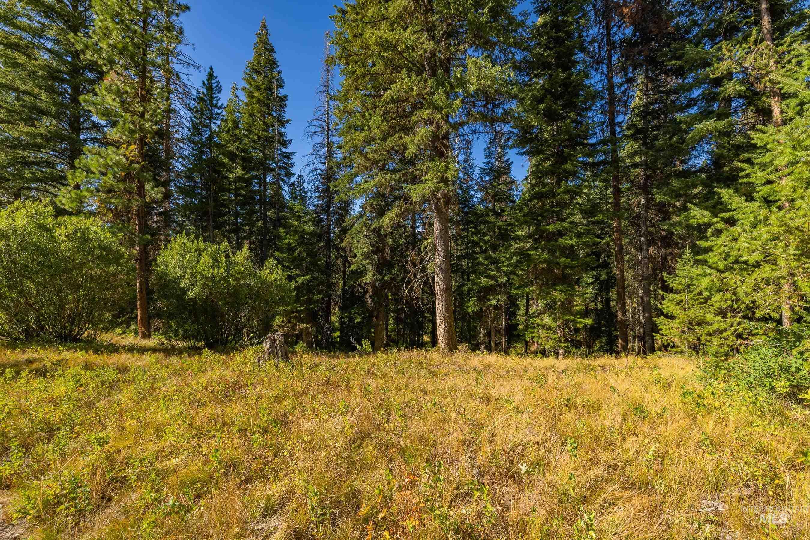 20 Vernon Court, McCall, Idaho 83638, Land For Sale, Price $229,000,MLS 98989563