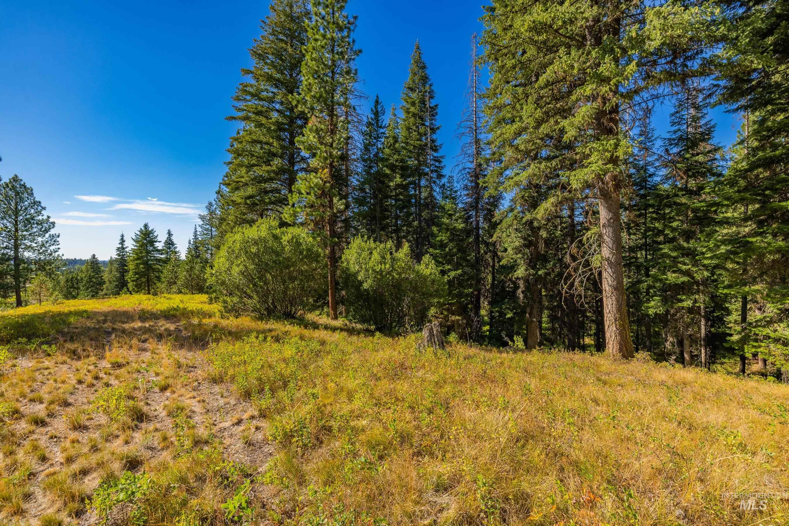 20 Vernon Court, McCall, Idaho 83638, Land For Sale, Price $229,000,MLS 98989563
