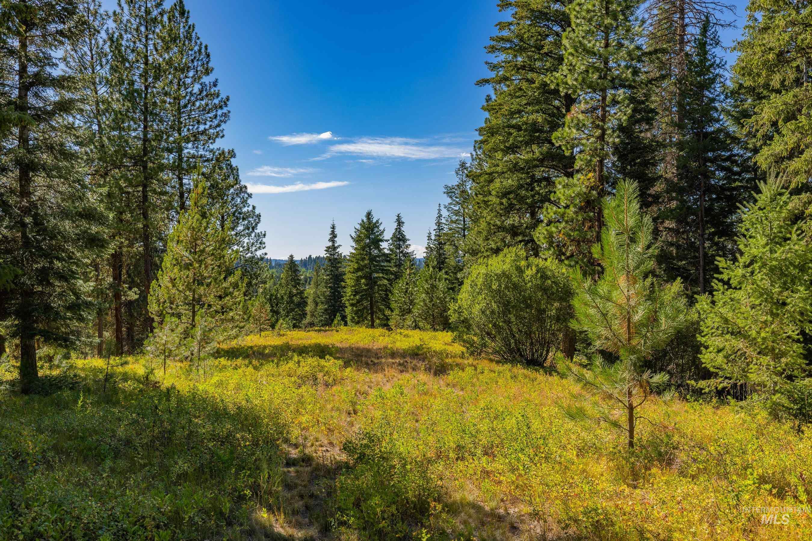20 Vernon Court, McCall, Idaho 83638, Land For Sale, Price $229,000,MLS 98989563