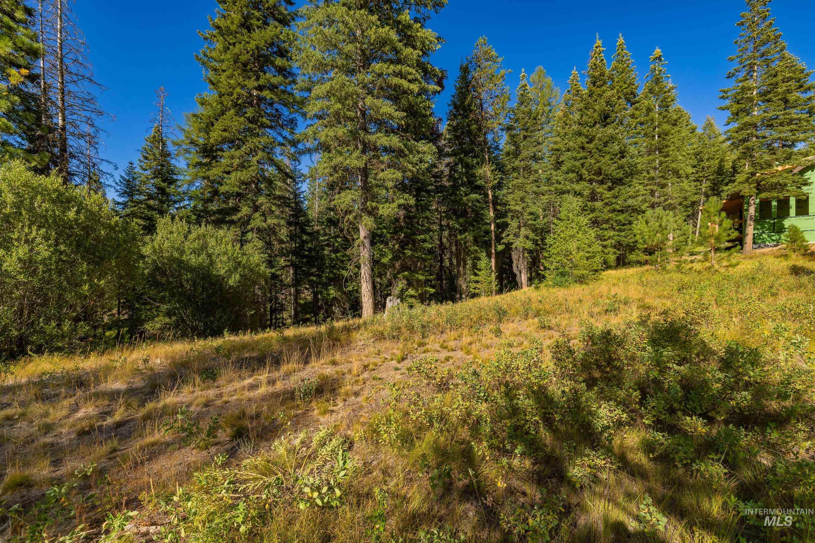 20 Vernon Court, McCall, Idaho 83638, Land For Sale, Price $229,000,MLS 98989563