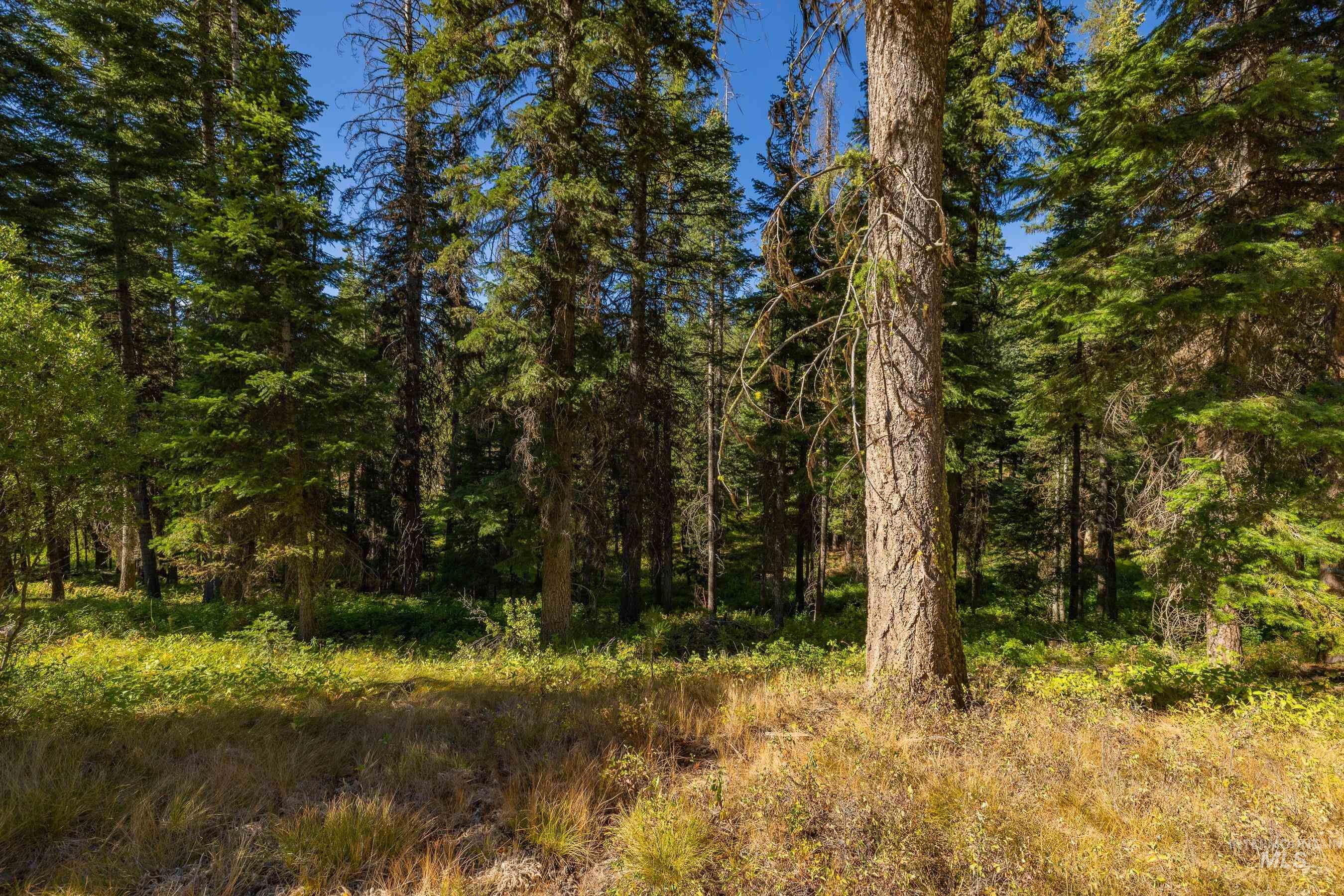 20 Vernon Court, McCall, Idaho 83638, Land For Sale, Price $229,000,MLS 98989563