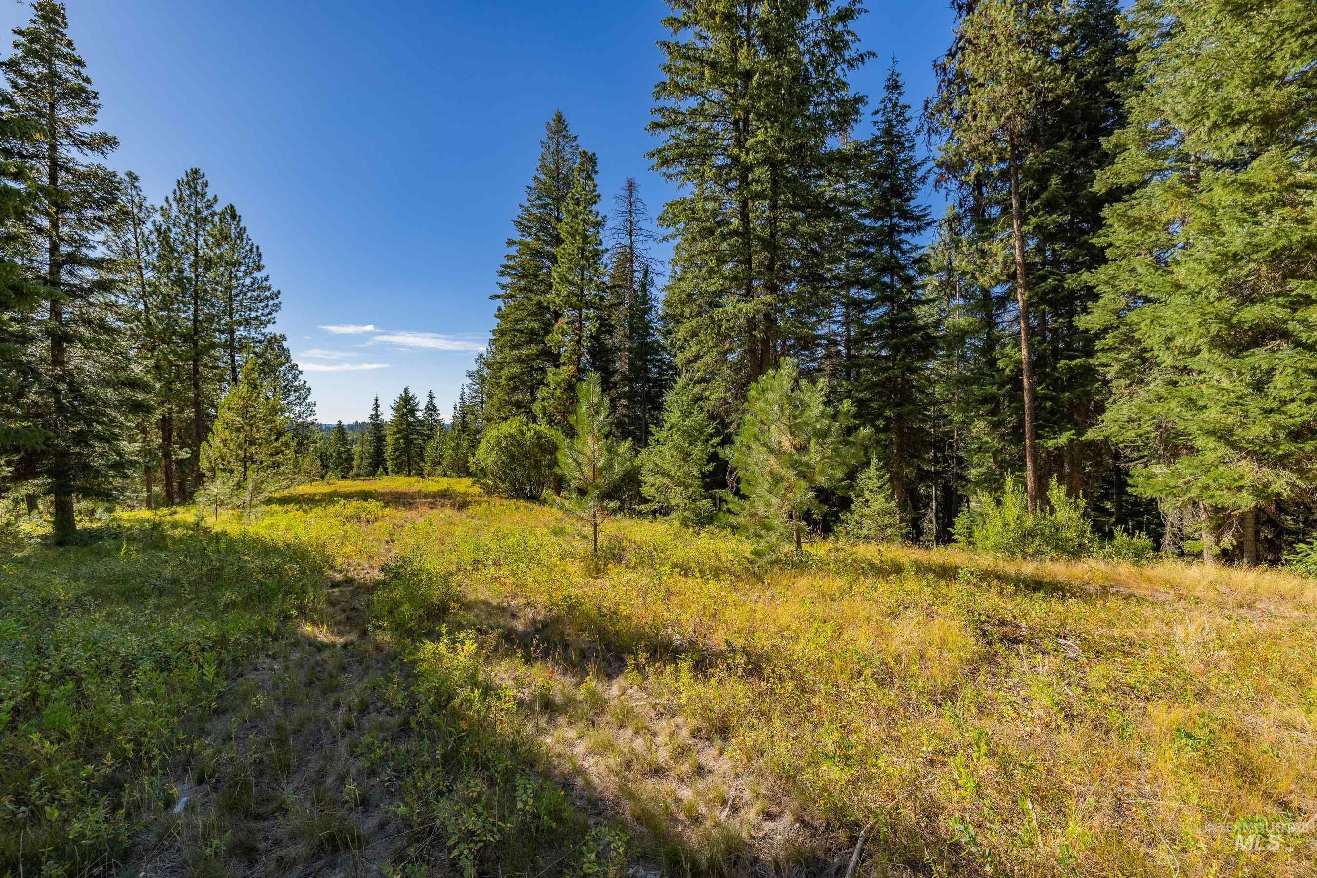20 Vernon Court, McCall, Idaho 83638, Land For Sale, Price $229,000,MLS 98989563