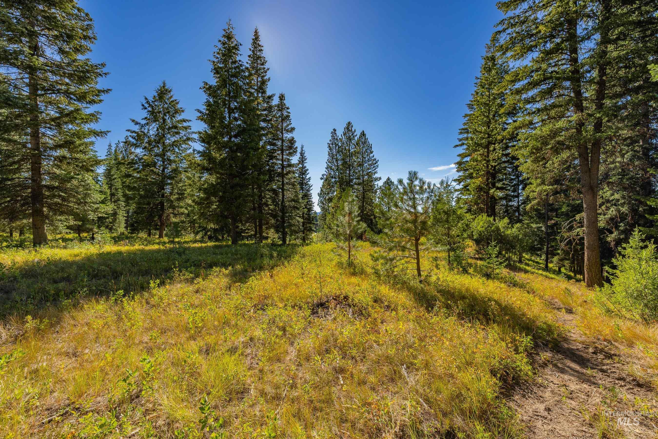 20 Vernon Court, McCall, Idaho 83638, Land For Sale, Price $229,000,MLS 98989563