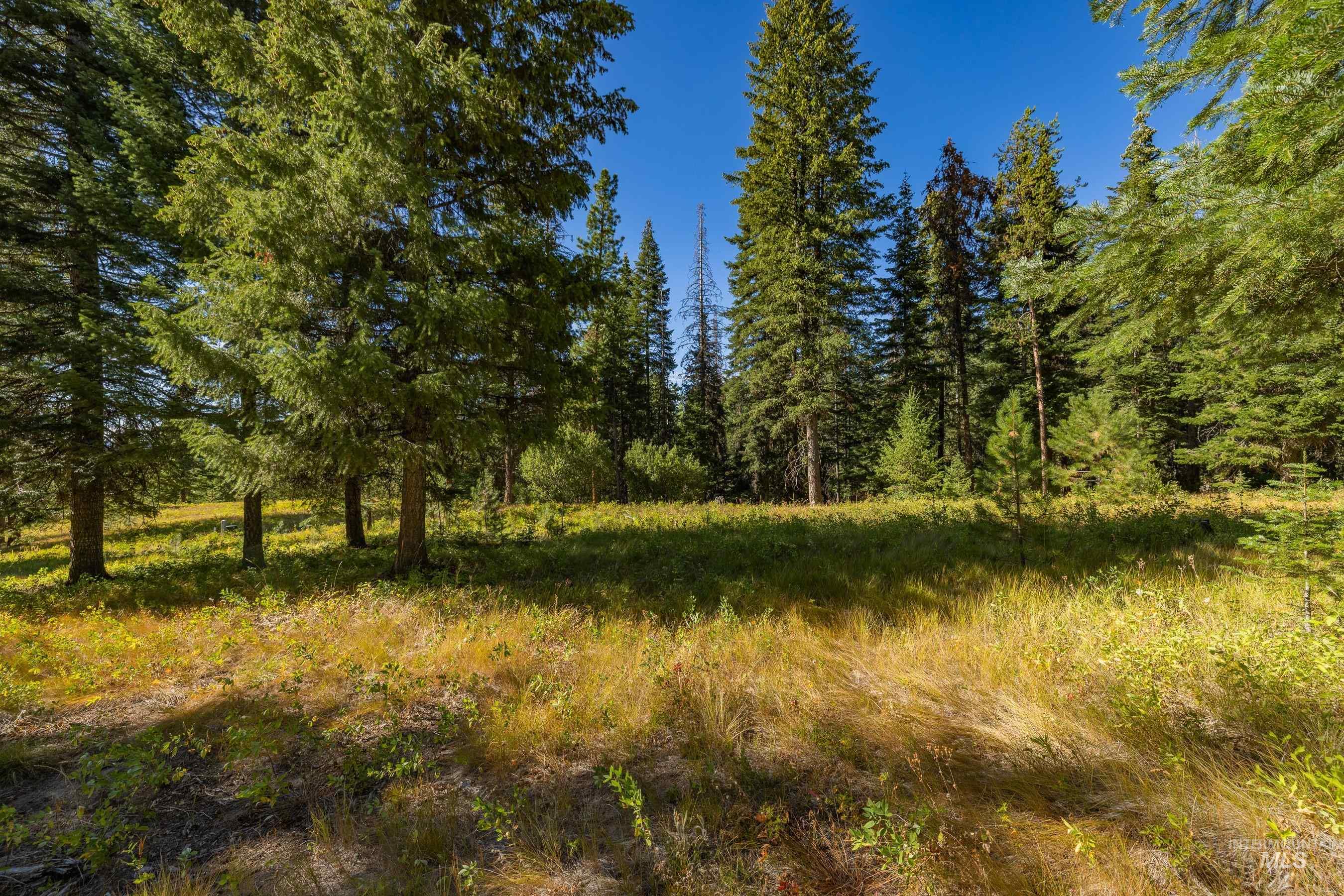 20 Vernon Court, McCall, Idaho 83638, Land For Sale, Price $229,000,MLS 98989563