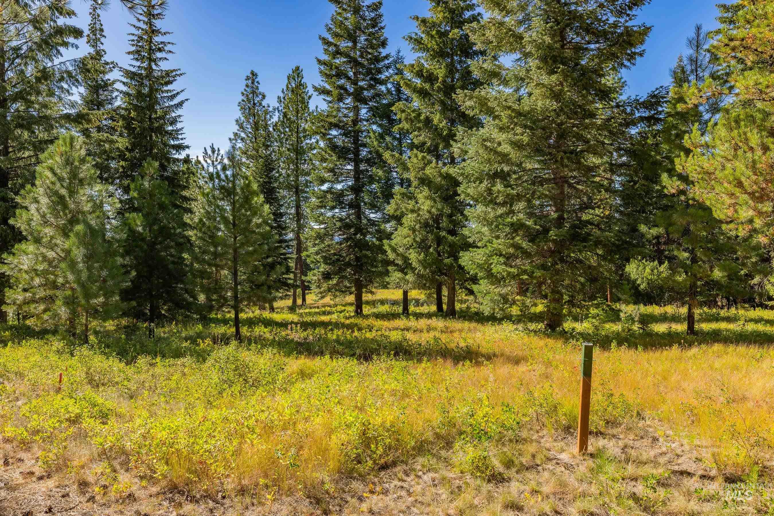 20 Vernon Court, McCall, Idaho 83638, Land For Sale, Price $229,000,MLS 98989563