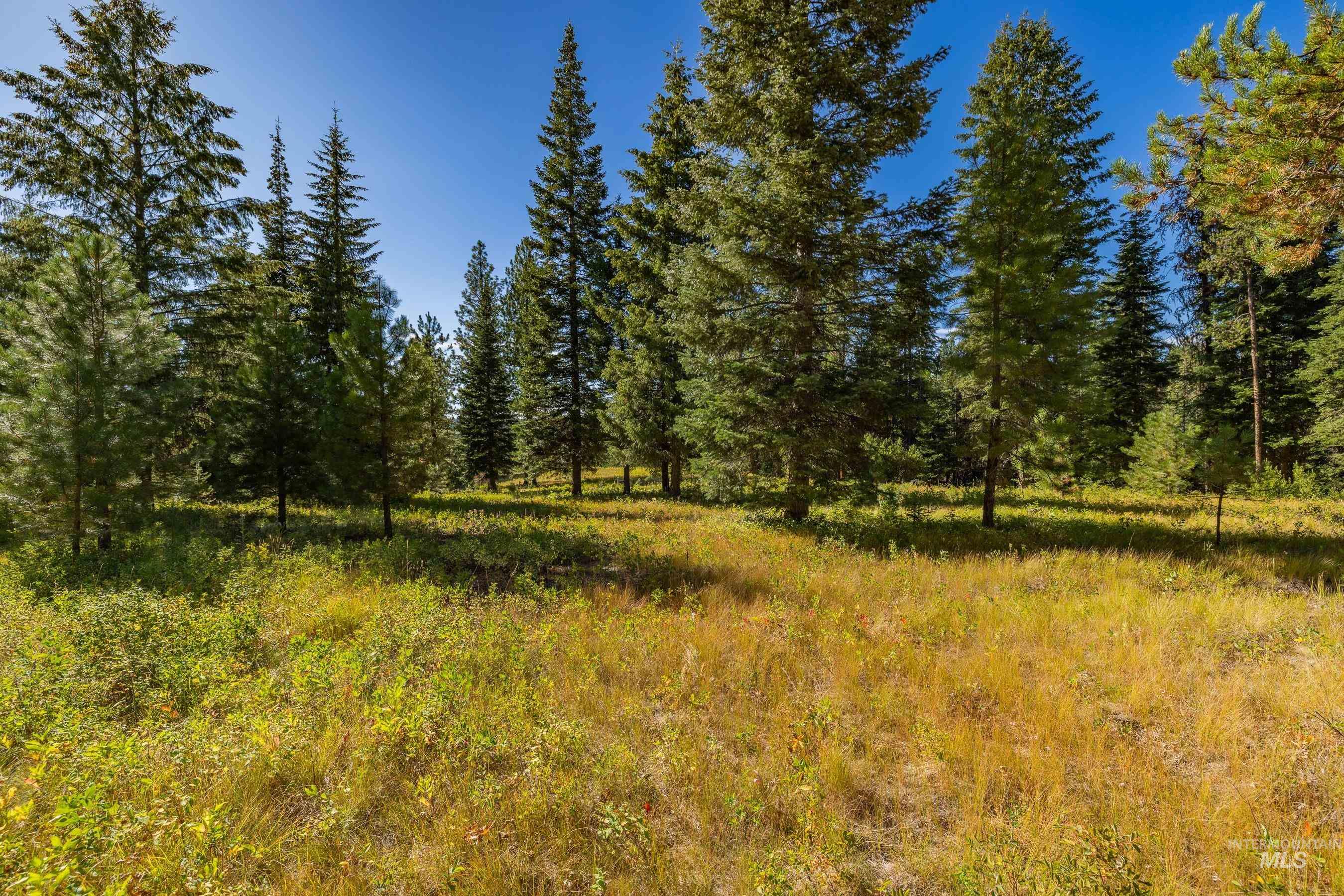 20 Vernon Court, McCall, Idaho 83638, Land For Sale, Price $229,000,MLS 98989563